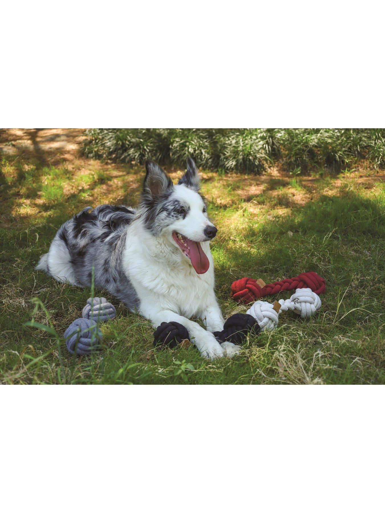 Image 5 of 5 of M-Pets Coto Black Duo Ball 28 Cm/ Coto Black Cross 60Cm