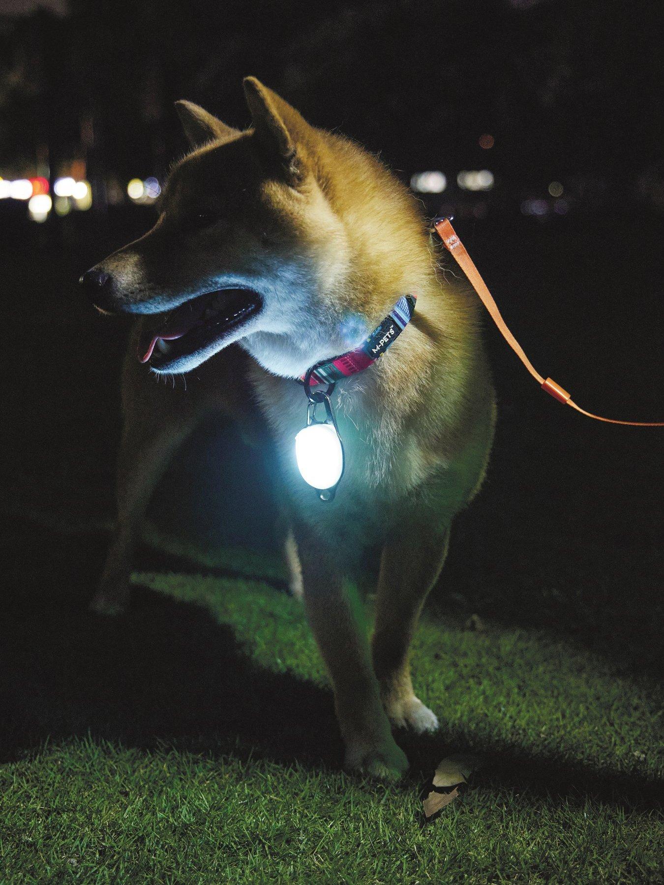 M-Pets Rechargeable Led Jewel For Dog - White 2 Pack