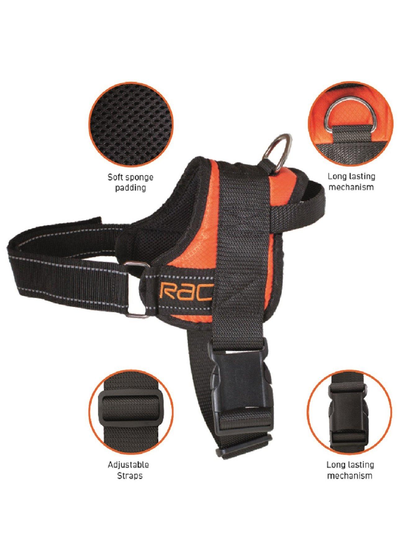 Image 3 of 6 of RAC Car Harness - Medium