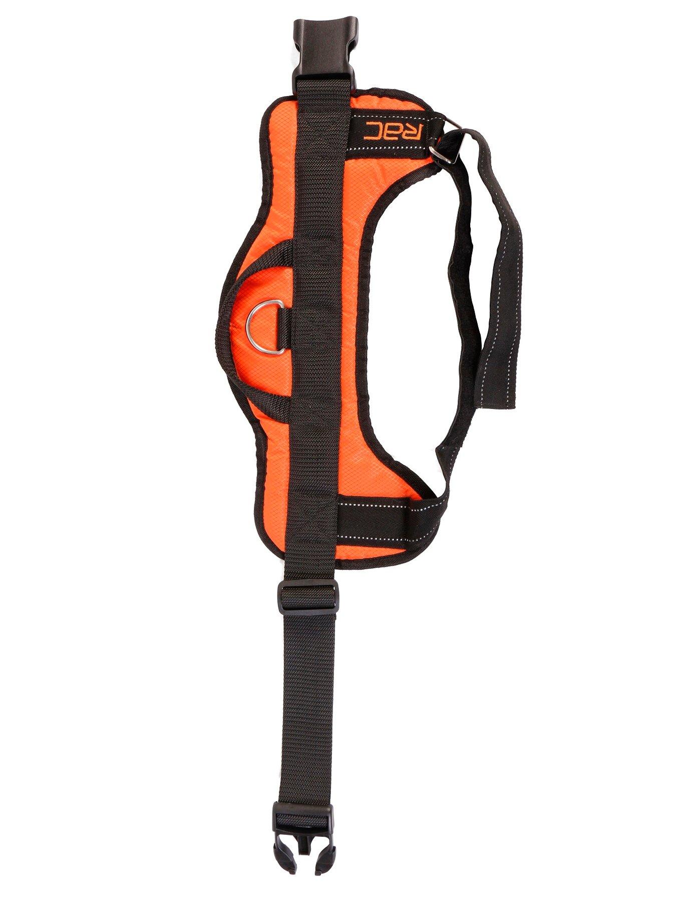 Image 5 of 6 of RAC Car Harness - Medium