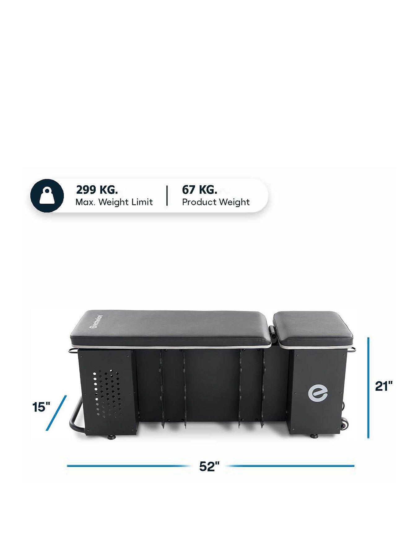 Image 2 of 7 of Echelon Strength Storage Bench