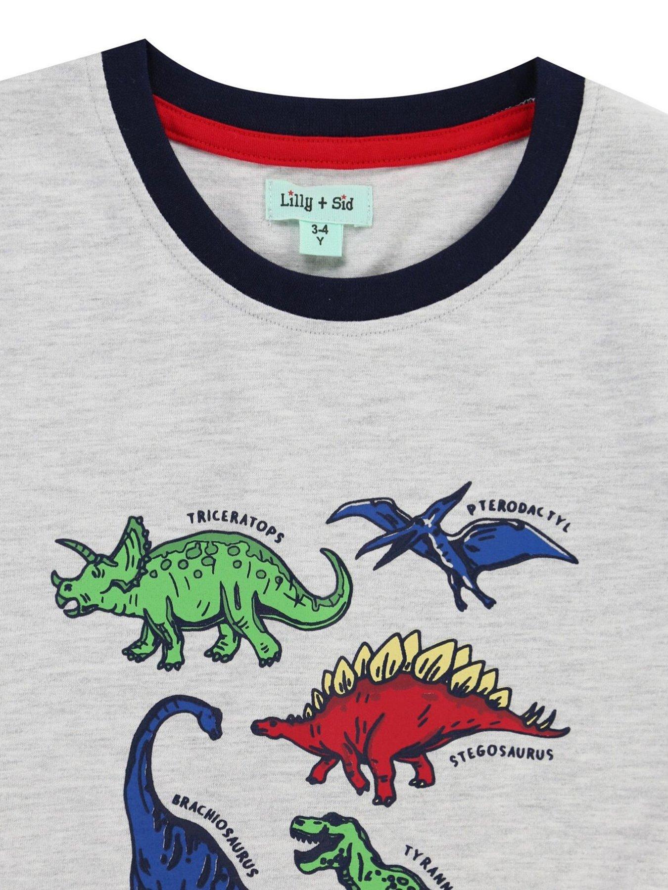 Image 4 of 4 of Lilly + Sid Boys Multi Dino Top - Grey