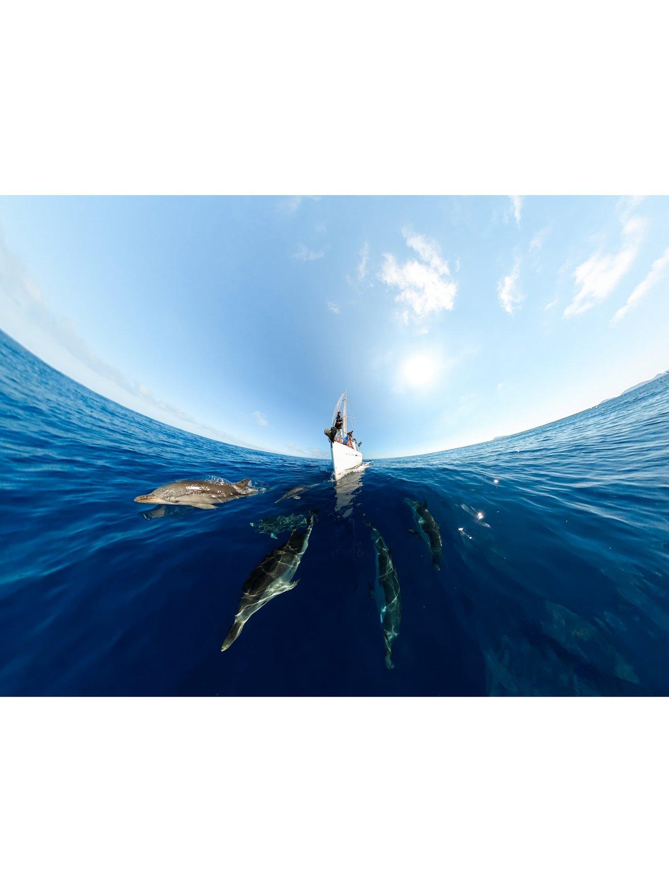 Image 7 of 7 of GoPro MAX360 Camera
