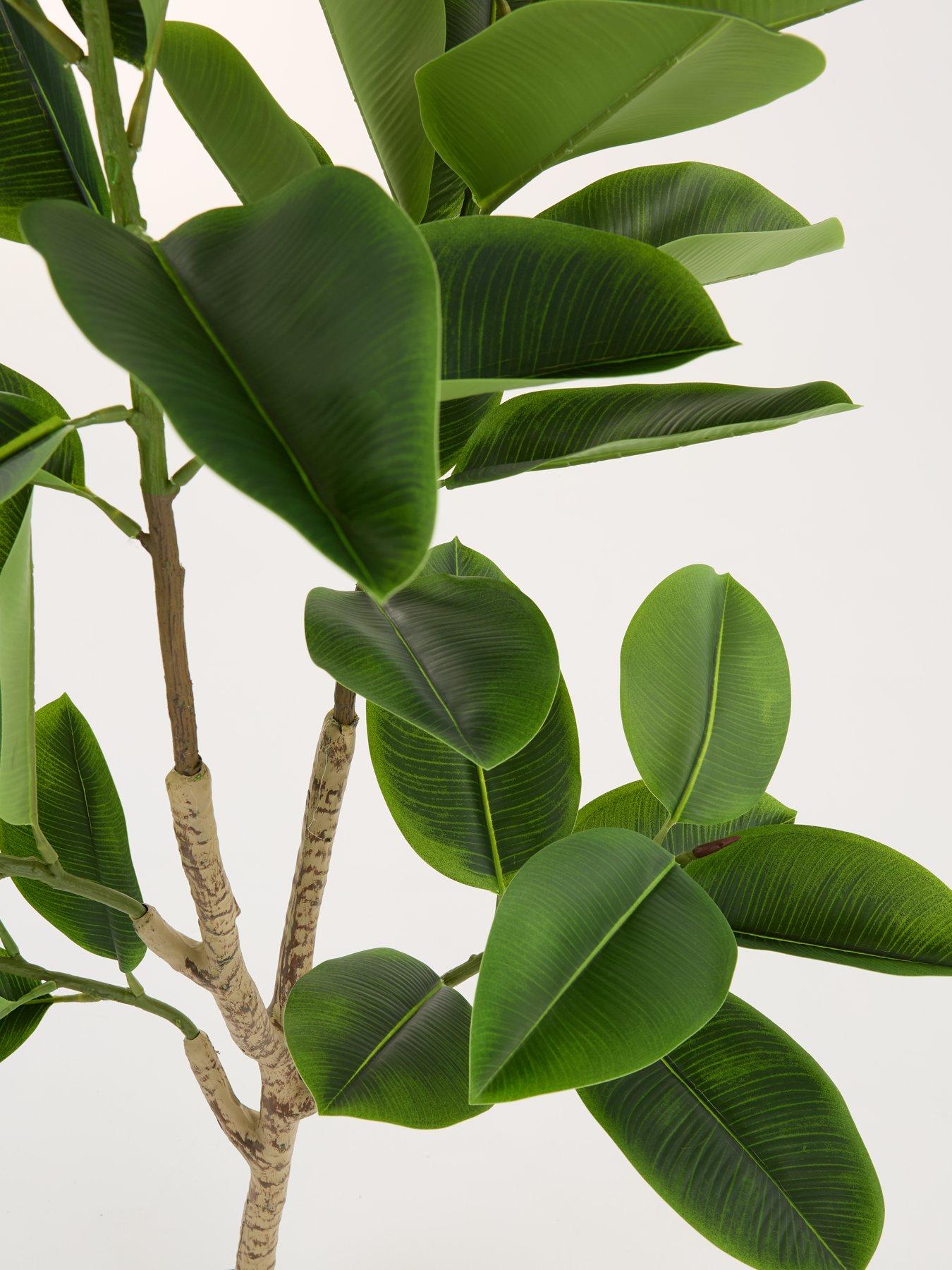 Image 3 of 7 of Very Home Real Touch Faux Rubber Tree in Plastic Pot
