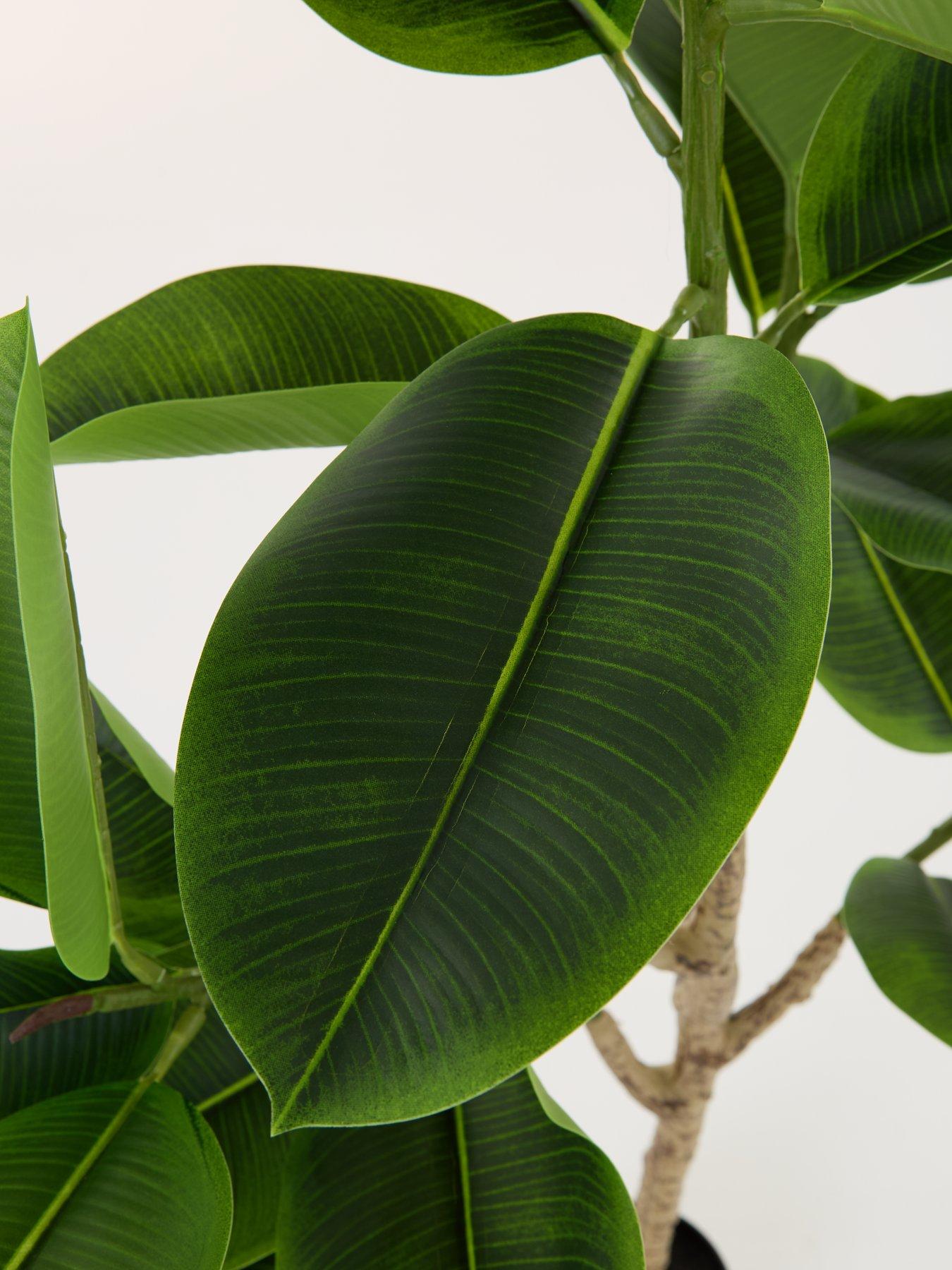 Image 5 of 7 of Very Home Real Touch Faux Rubber Tree in Plastic Pot