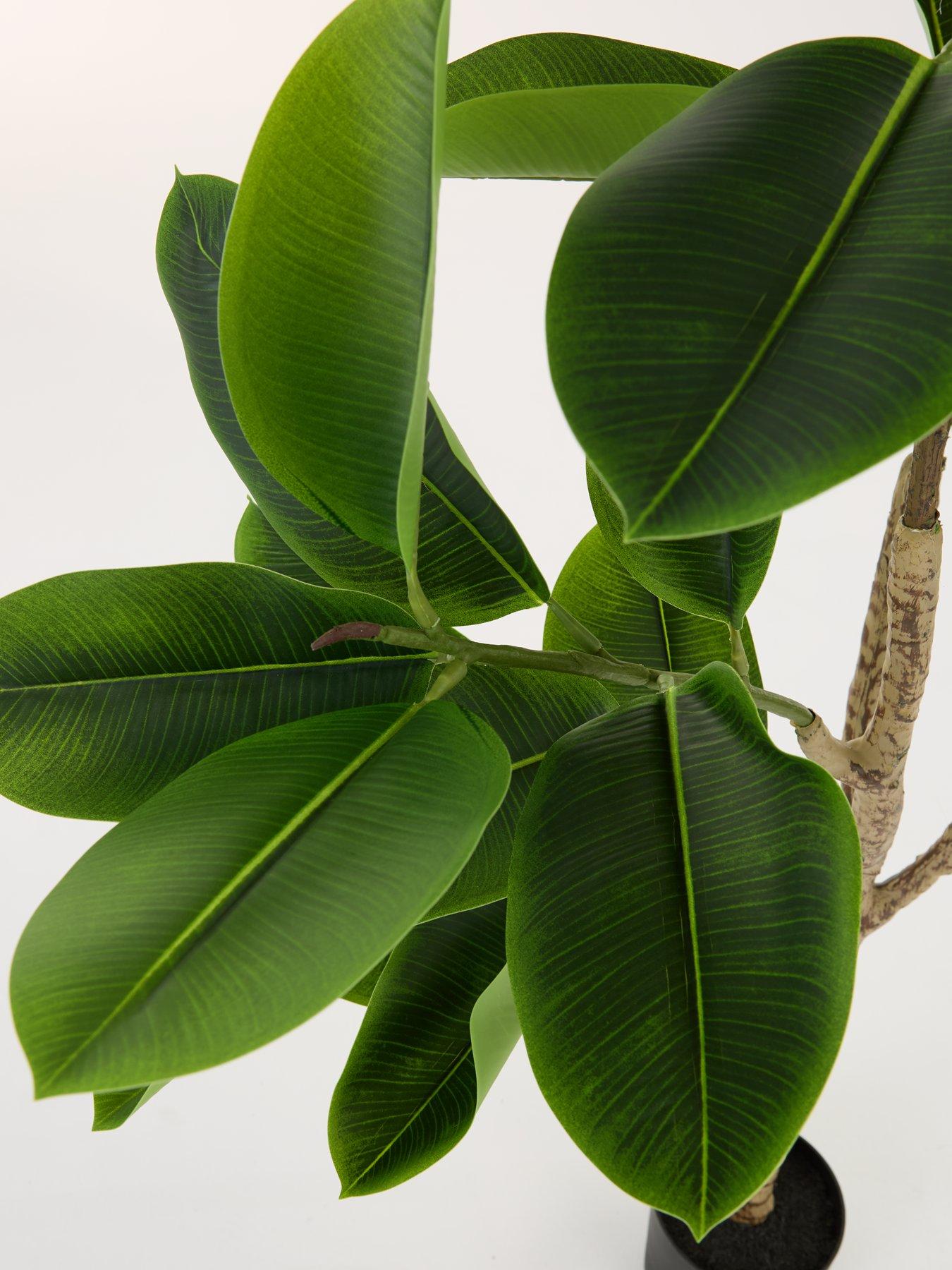 Image 7 of 7 of Very Home Real Touch Faux Rubber Tree in Plastic Pot