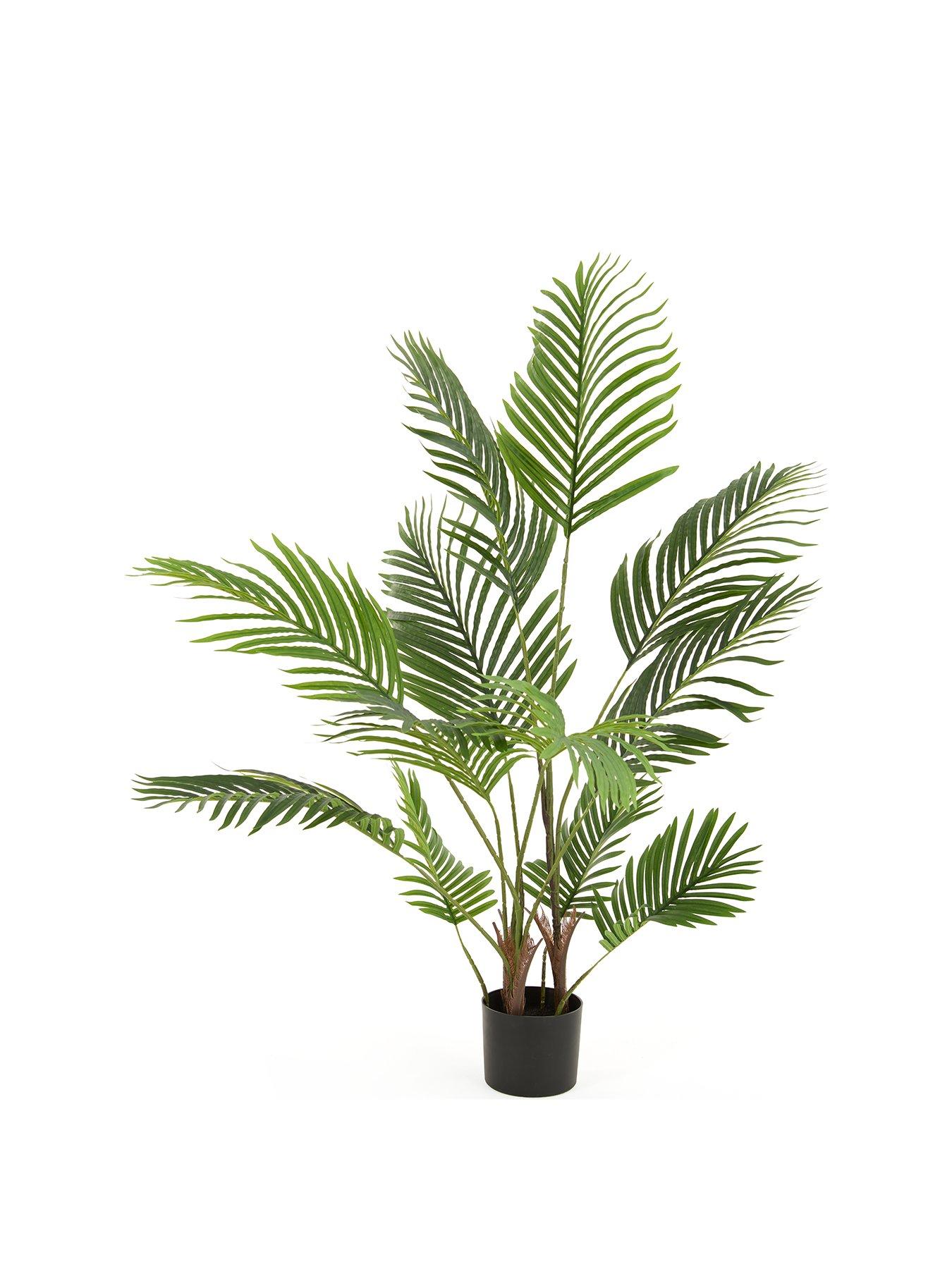 Image 2 of 7 of The Very Collection Real Touch Faux Pearl Palm Tree in Plastic Pot