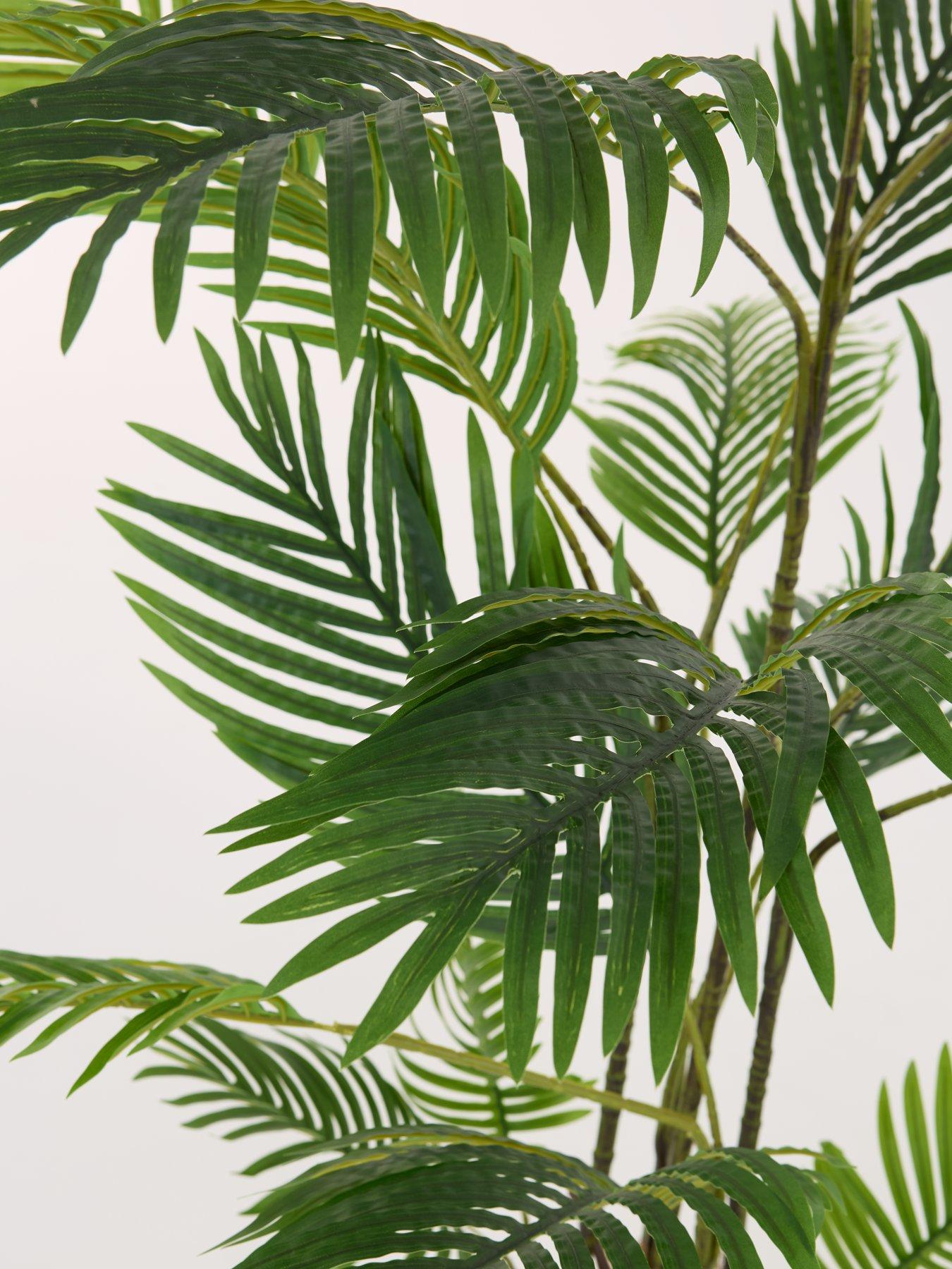 Image 3 of 7 of The Very Collection Real Touch Faux Pearl Palm Tree in Plastic Pot