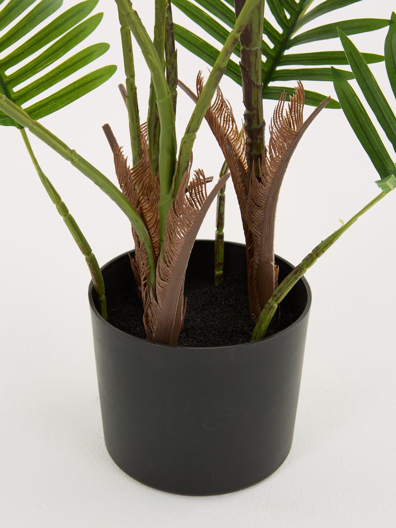 Image 4 of 7 of The Very Collection Real Touch Faux Pearl Palm Tree in Plastic Pot