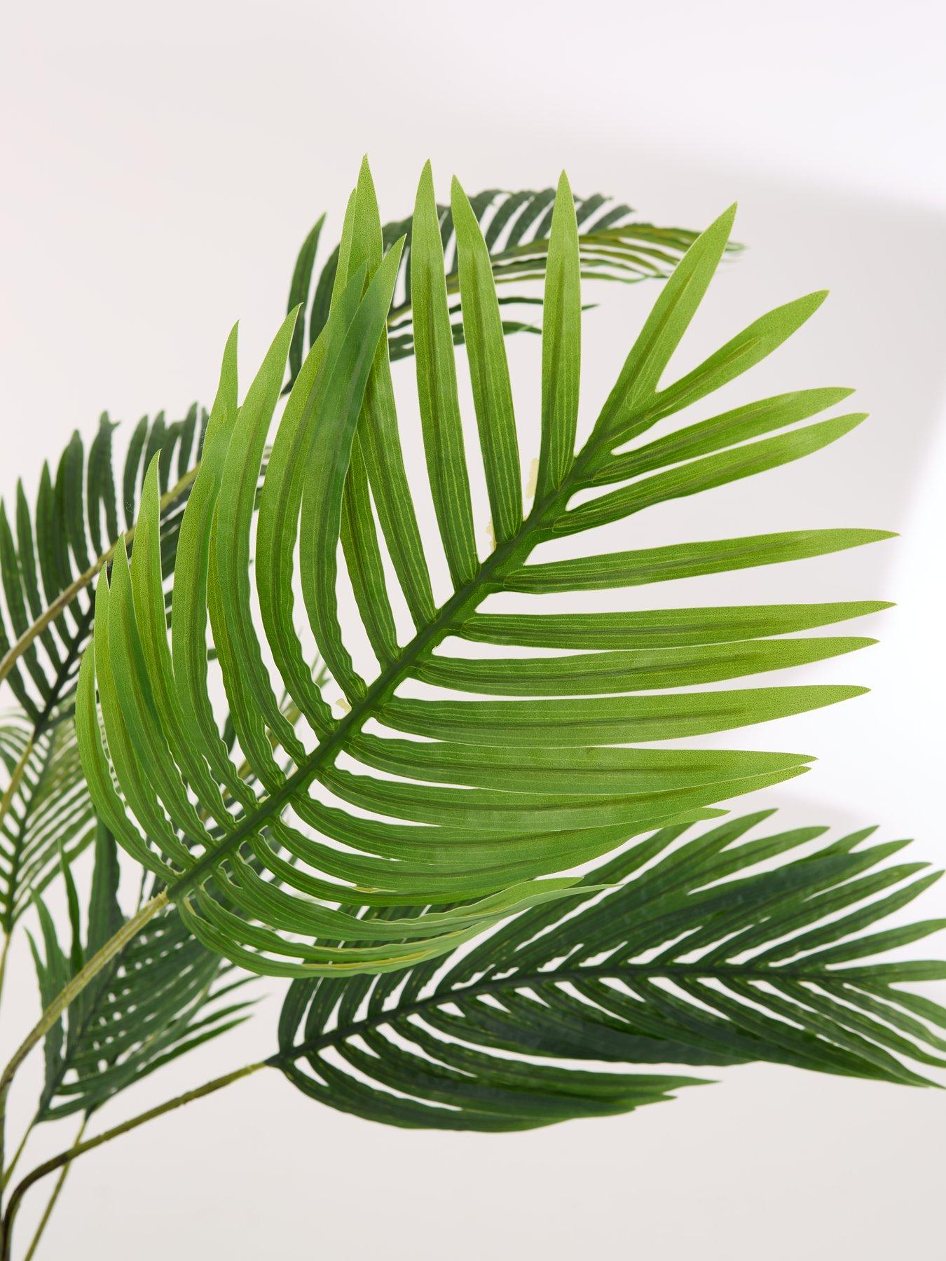 Image 5 of 7 of The Very Collection Real Touch Faux Pearl Palm Tree in Plastic Pot
