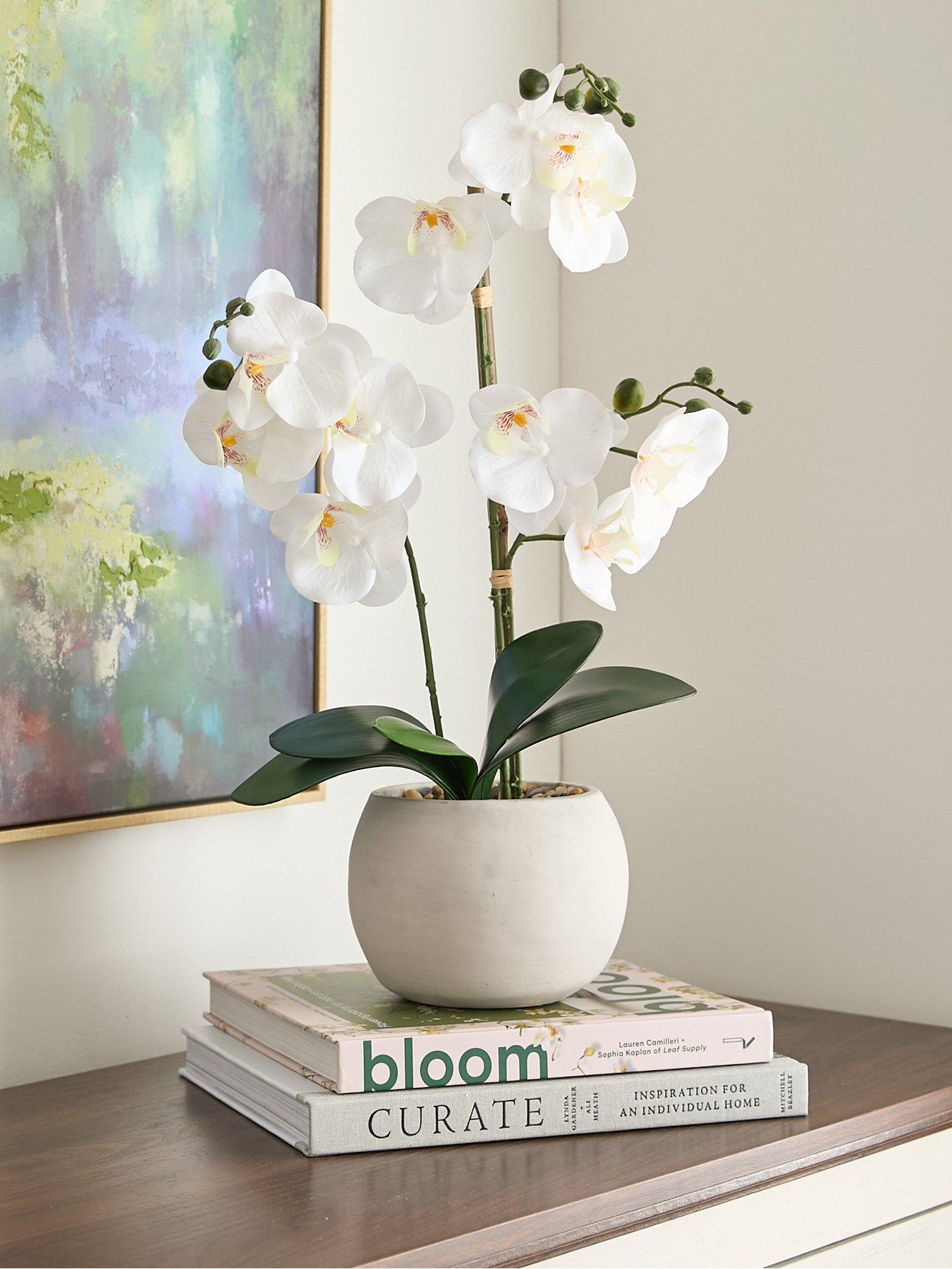 Image 1 of 6 of The Very Collection Faux Phalaenopsis Orchid in Round Cream Cement Pot