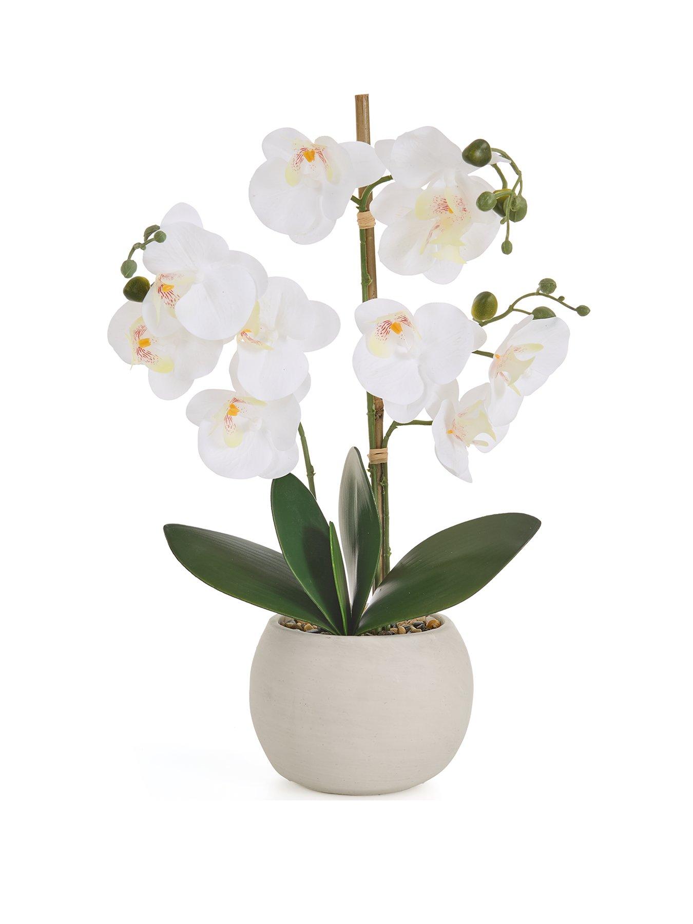 Image 2 of 6 of The Very Collection Faux Phalaenopsis Orchid in Round Cream Cement Pot