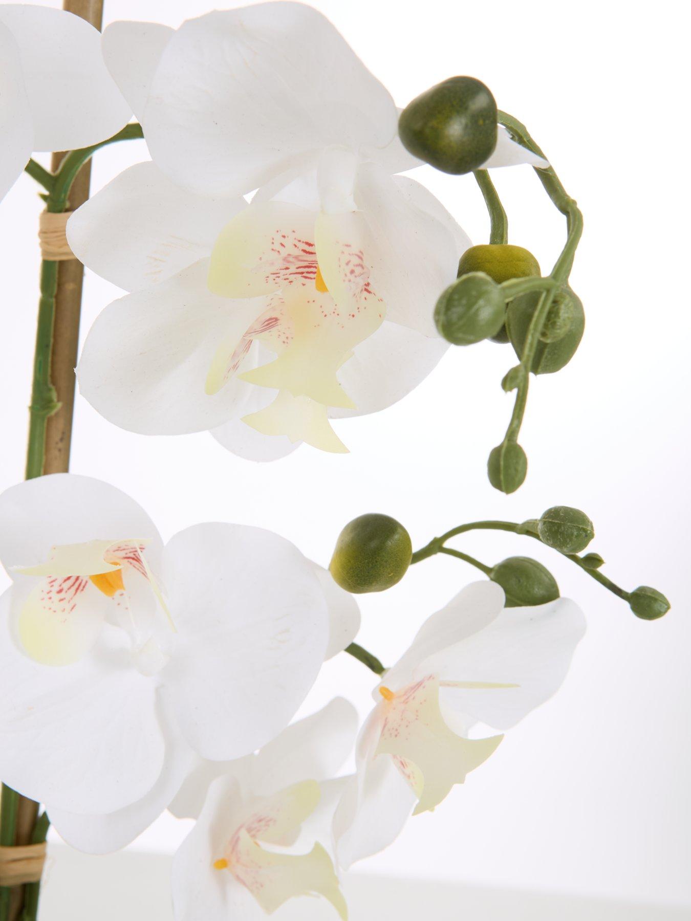 Image 3 of 6 of The Very Collection Faux Phalaenopsis Orchid in Round Cream Cement Pot