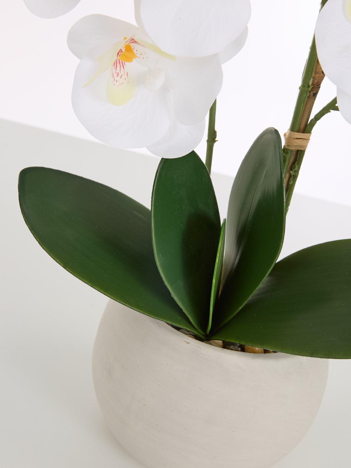 Image 5 of 6 of The Very Collection Faux Phalaenopsis Orchid in Round Cream Cement Pot