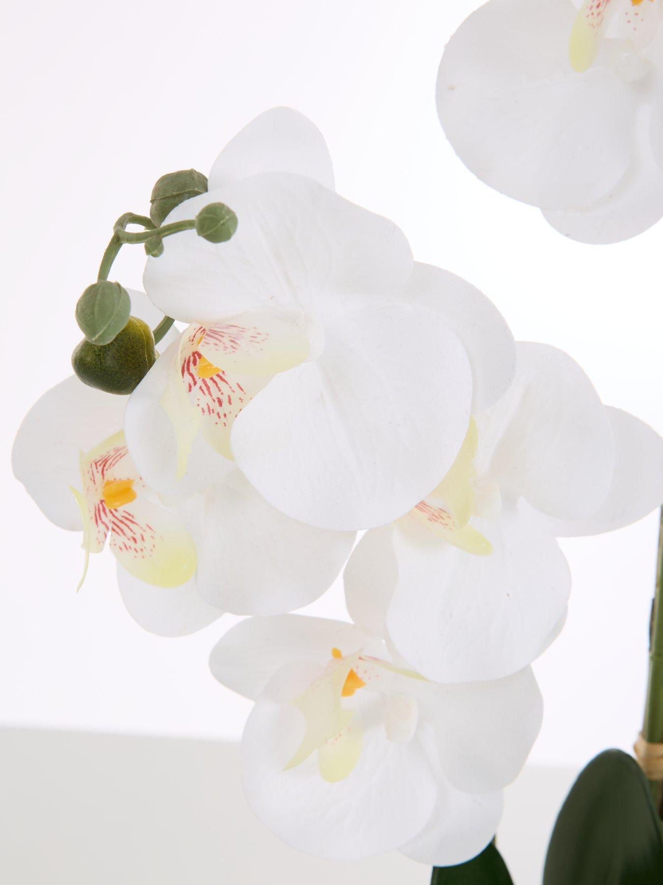 Image 6 of 6 of The Very Collection Faux Phalaenopsis Orchid in Round Cream Cement Pot