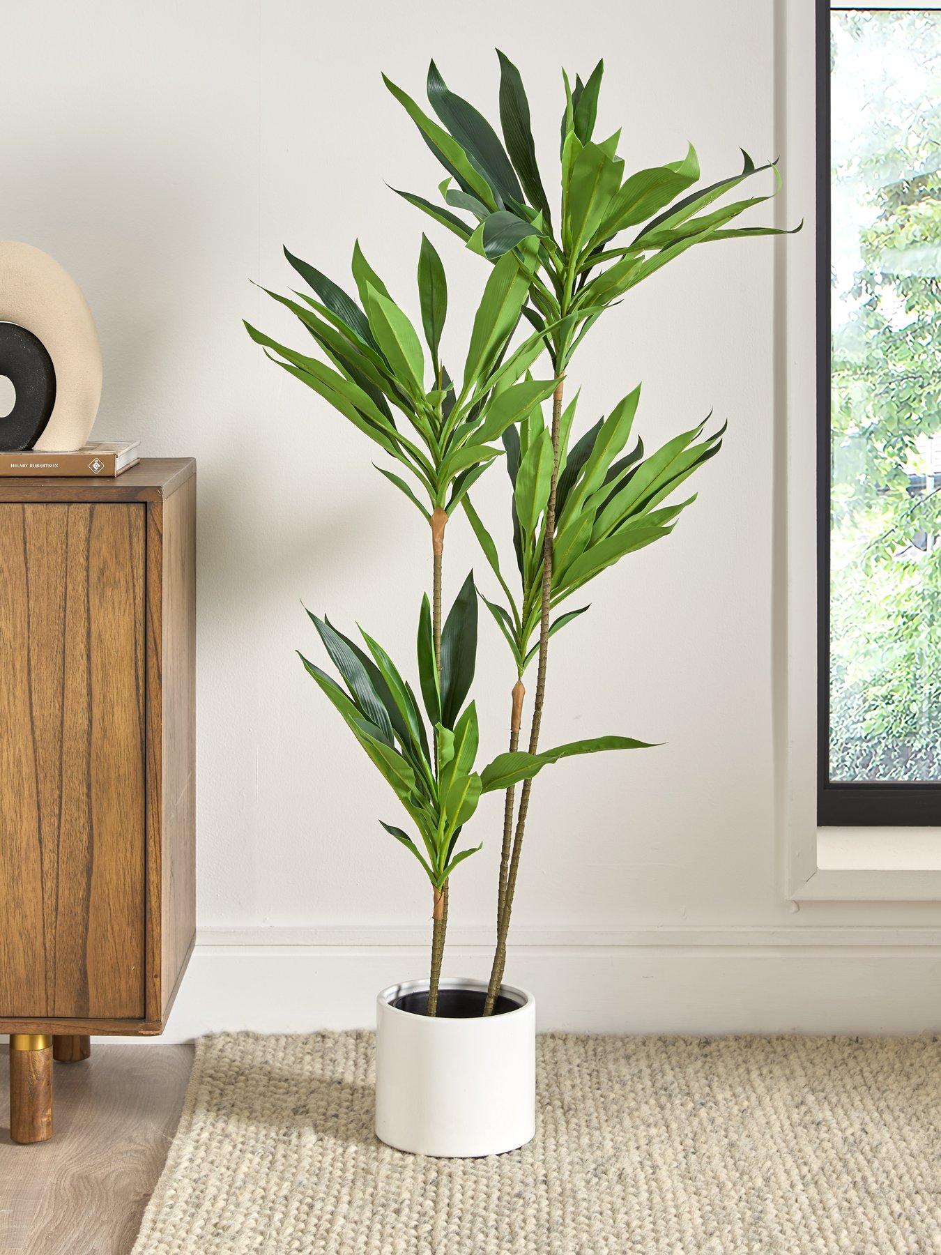 undefined Real Touch Faux Dracaena Tree in Plastic Pot