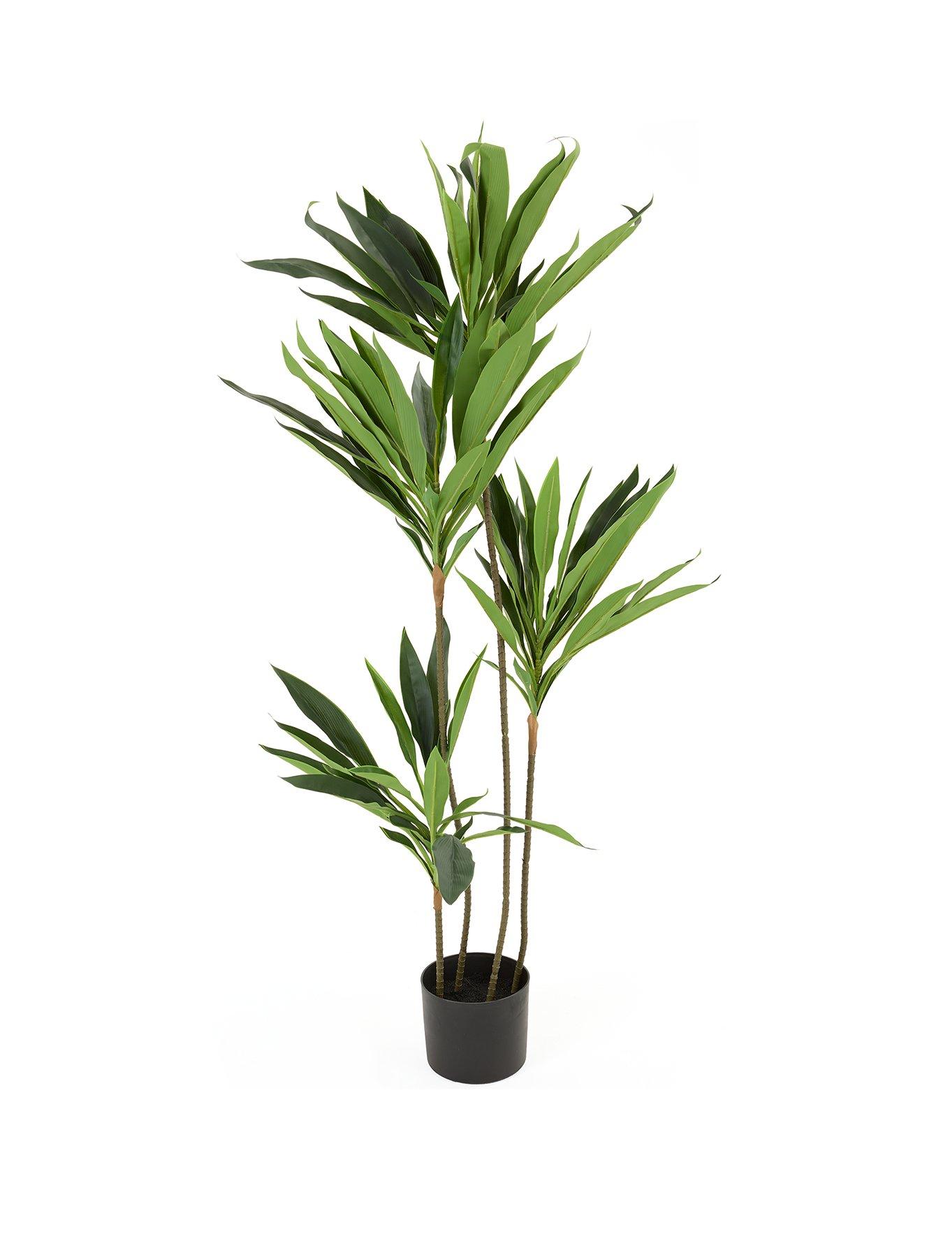 Image 2 of 6 of The Very Collection Real Touch Faux Dracaena Tree in Plastic Pot