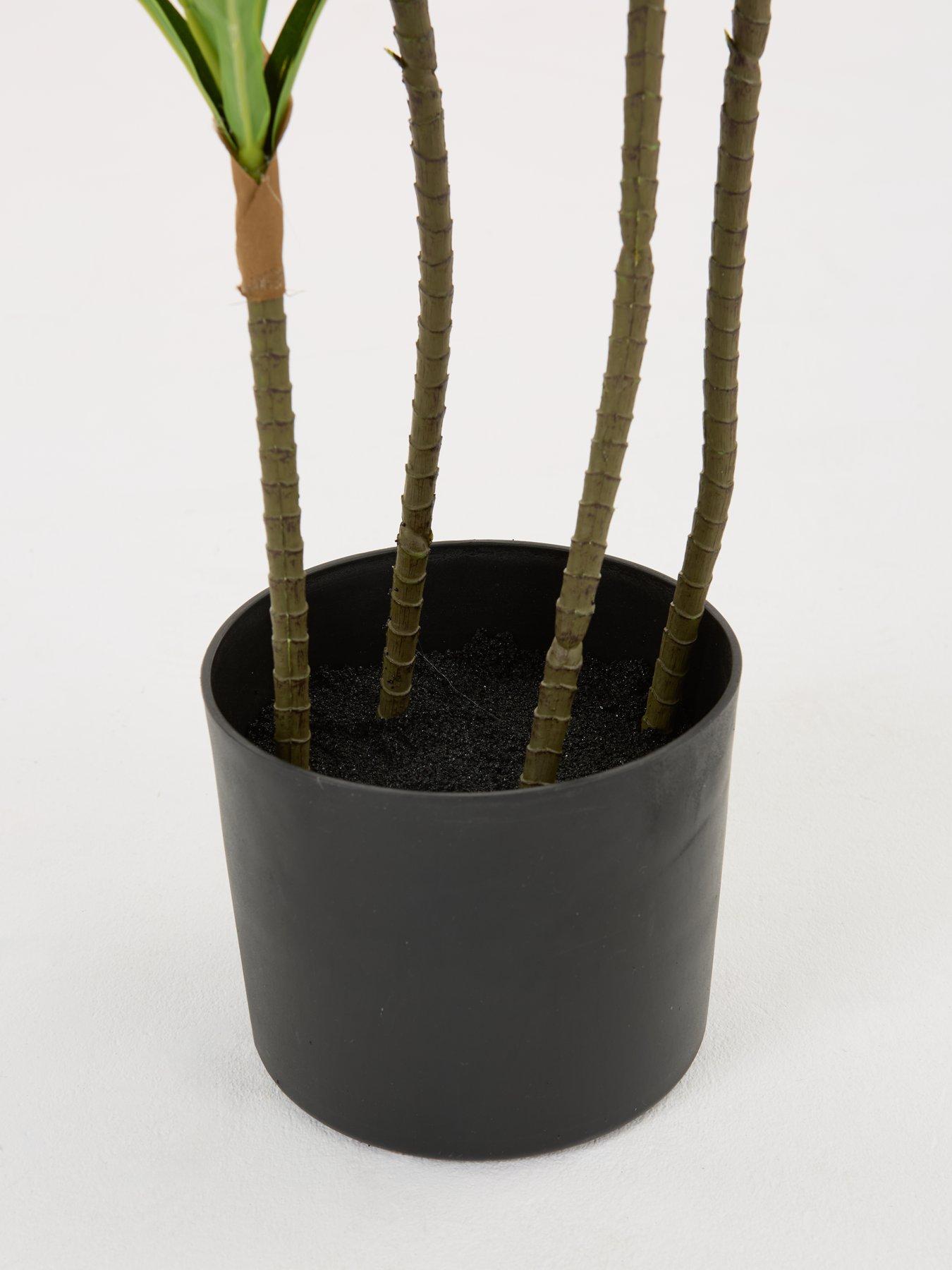 Image 3 of 6 of The Very Collection Real Touch Faux Dracaena Tree in Plastic Pot