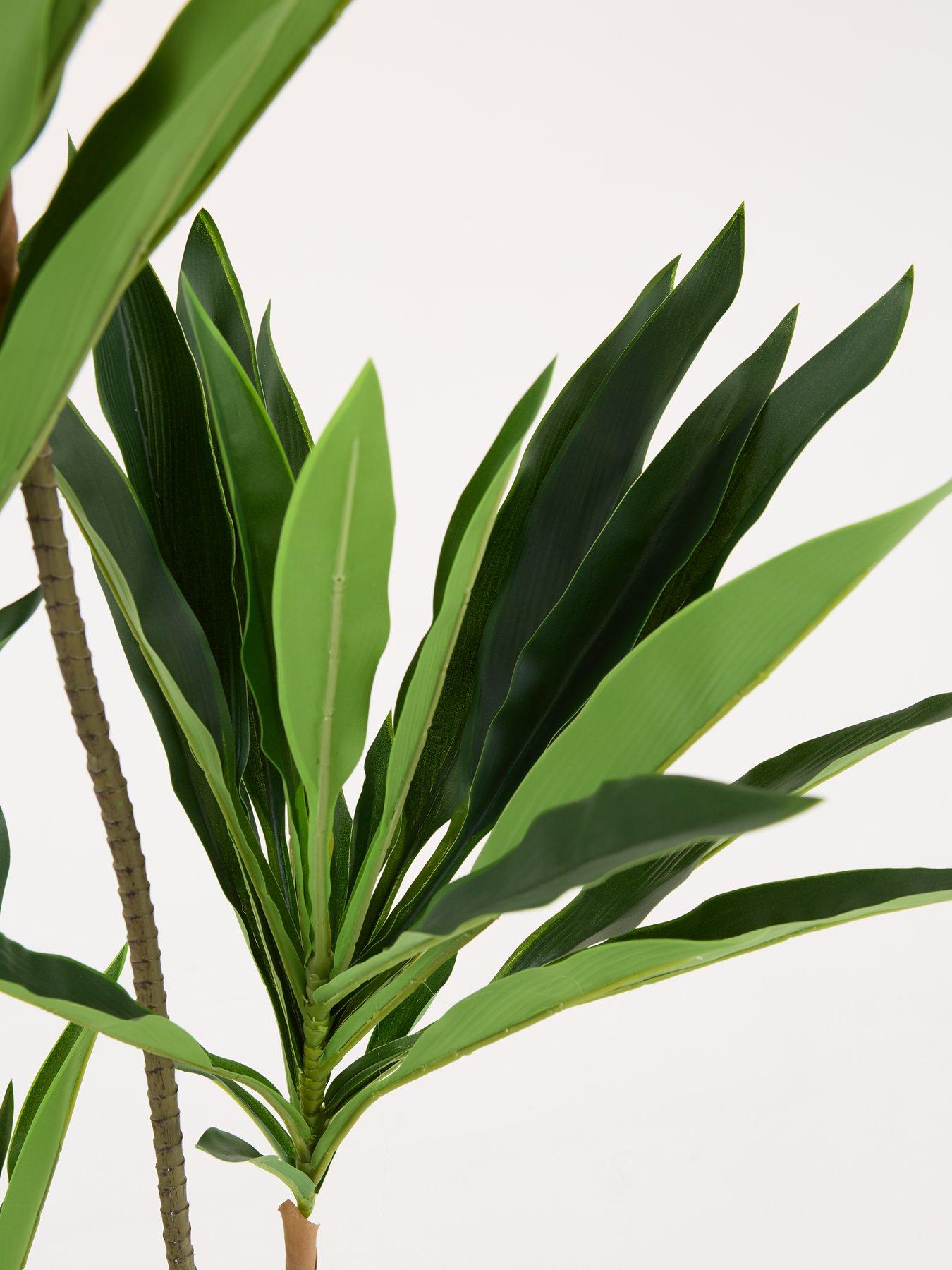 Image 5 of 6 of The Very Collection Real Touch Faux Dracaena Tree in Plastic Pot