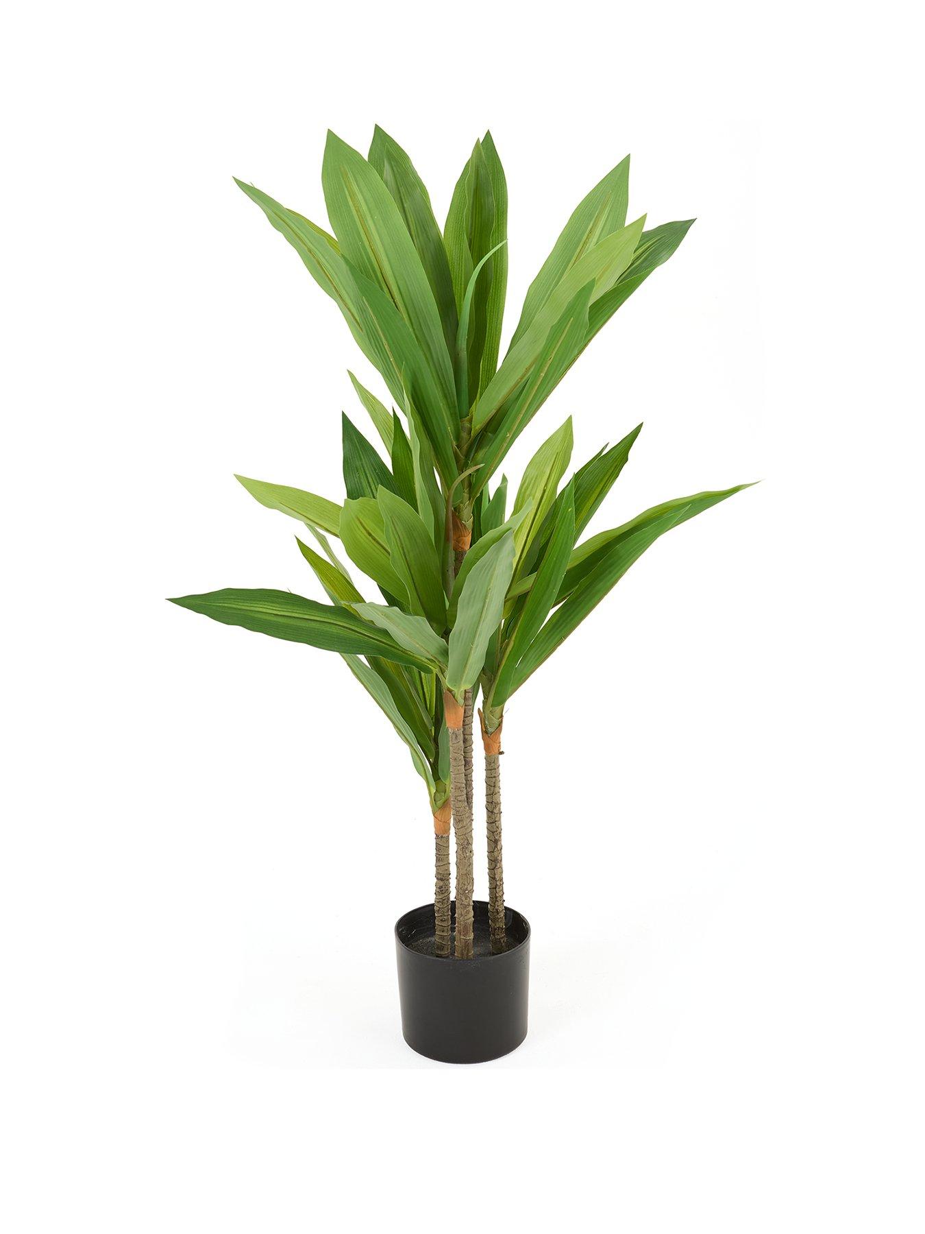 Image 2 of 6 of The Very Collection Real Touch Faux Dracaena Tree in Plastic Pot