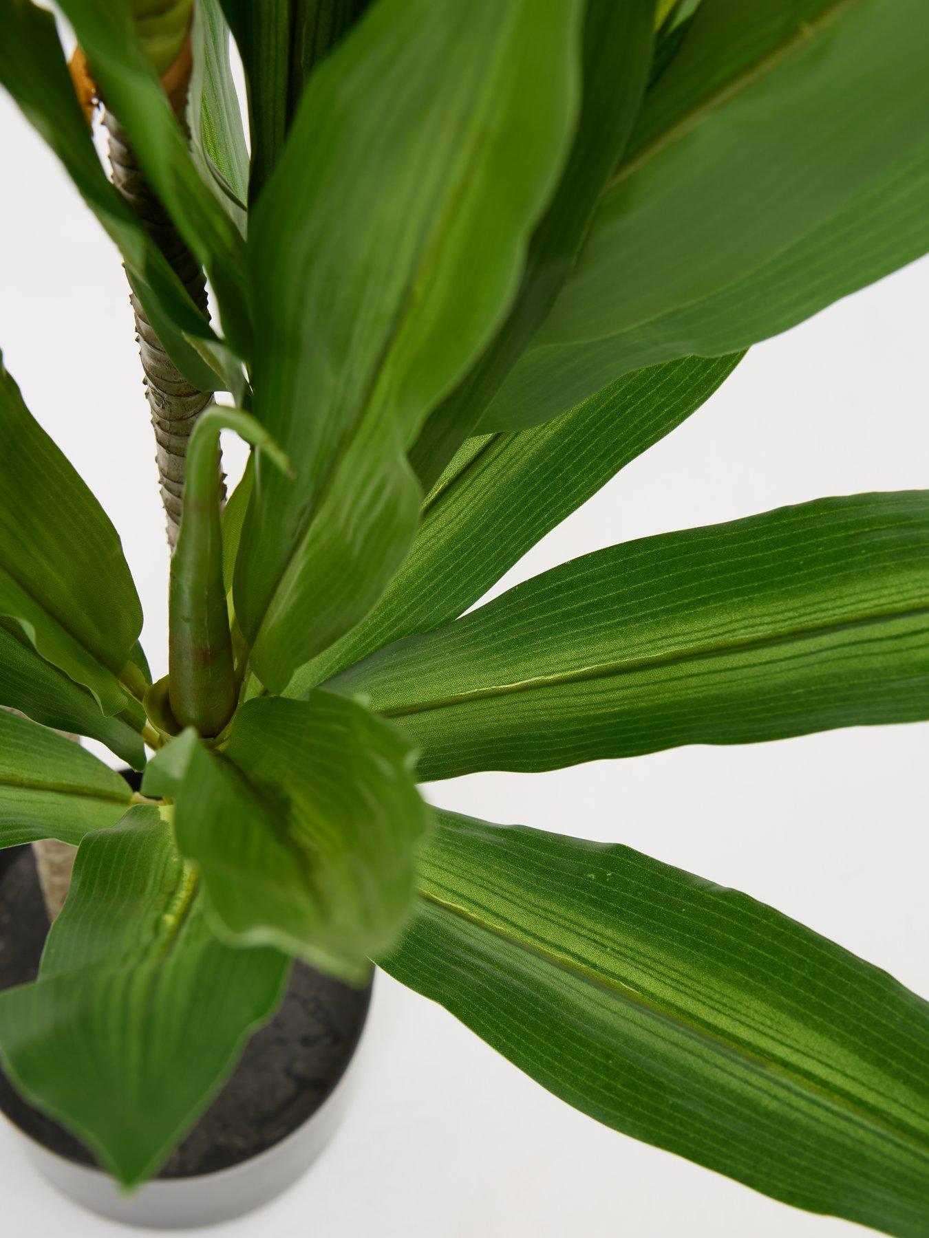 Image 3 of 6 of The Very Collection Real Touch Faux Dracaena Tree in Plastic Pot