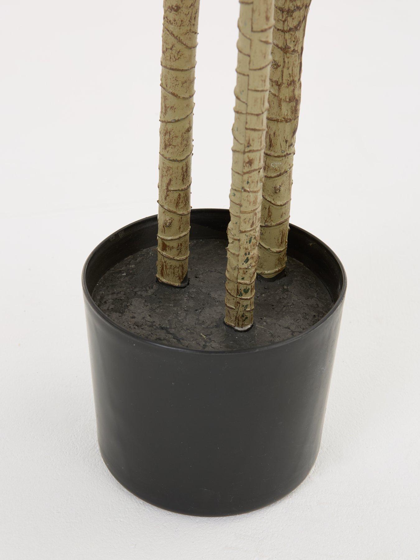Image 4 of 6 of The Very Collection Real Touch Faux Dracaena Tree in Plastic Pot