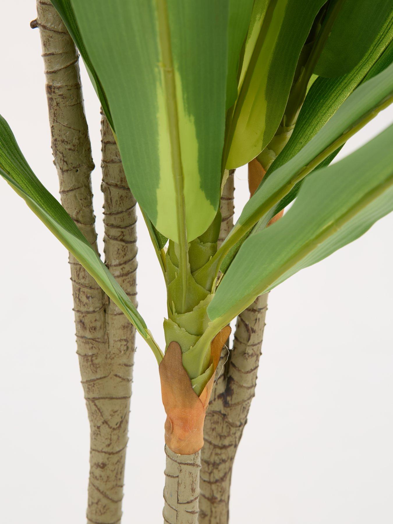 Image 5 of 6 of The Very Collection Real Touch Faux Dracaena Tree in Plastic Pot