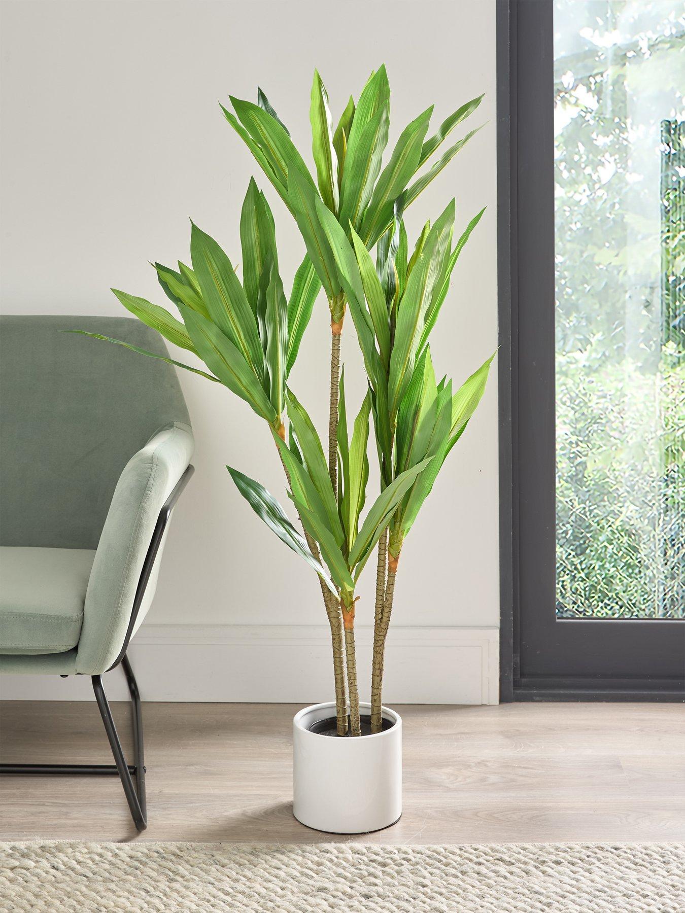 undefined Real Touch Faux Dracaena Tree in Plastic Pot