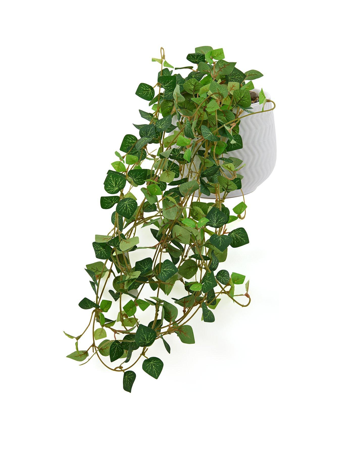 Image 2 of 6 of The Very Collection Faux String of Hearts Trailing Plant in Ceramic Pot