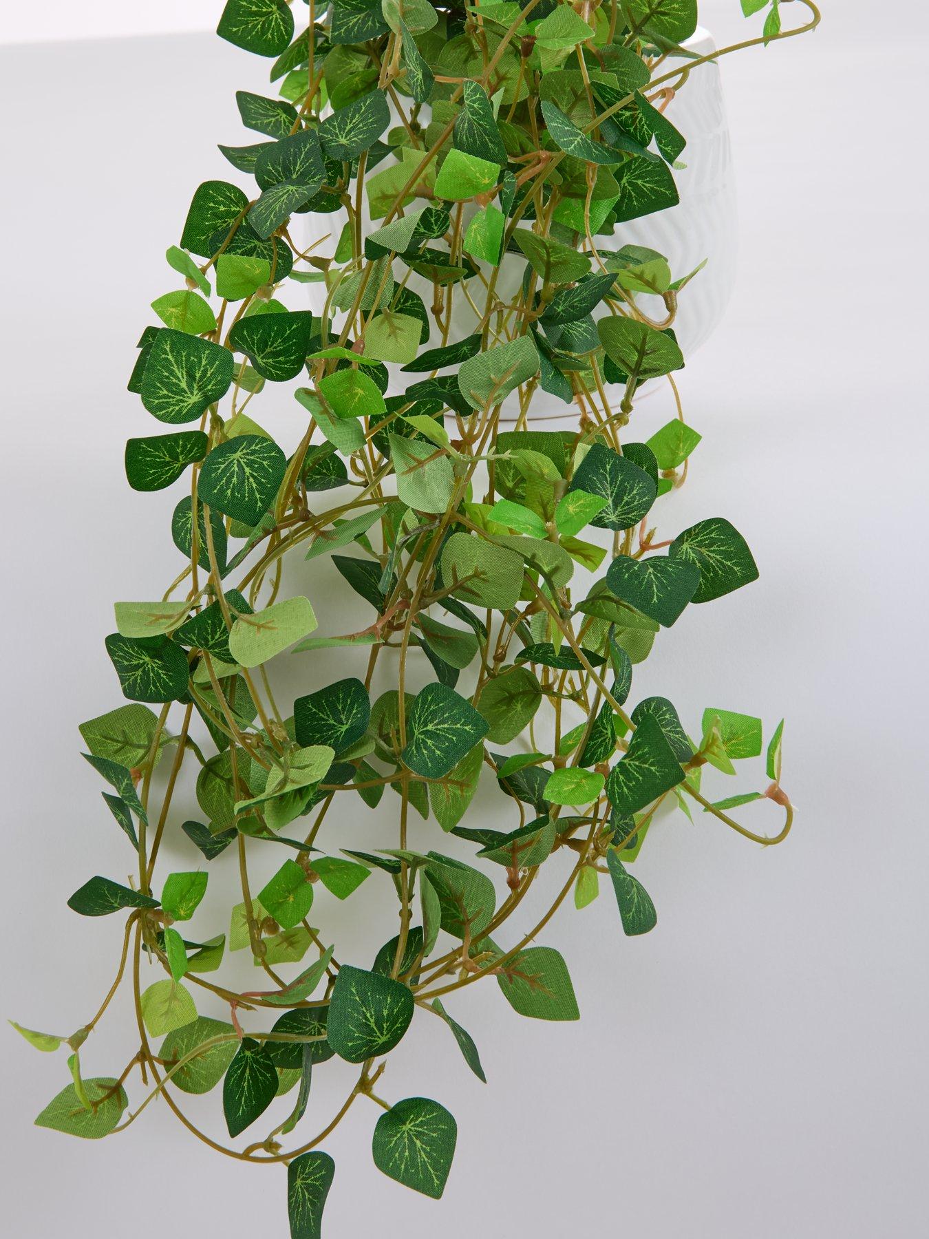 Image 3 of 6 of The Very Collection Faux String of Hearts Trailing Plant in Ceramic Pot
