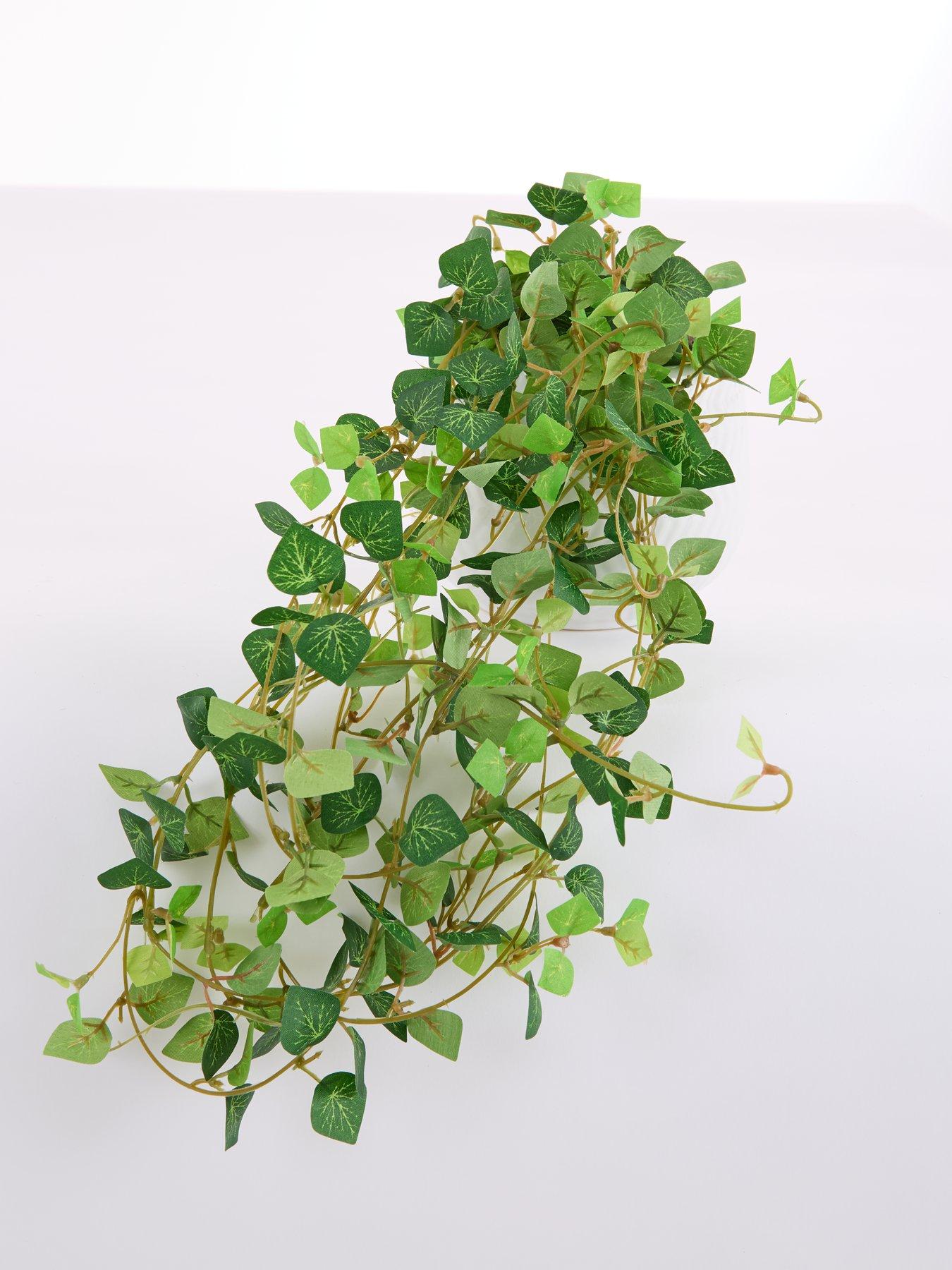 Image 5 of 6 of The Very Collection Faux String of Hearts Trailing Plant in Ceramic Pot