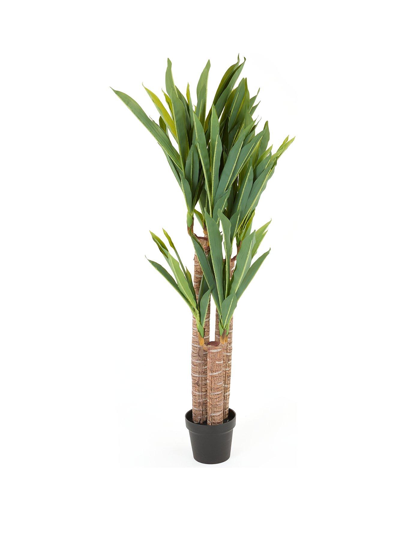 Image 2 of 7 of Very Home &nbsp;Faux Triple Stem Yucca Plant in Plastic Pot