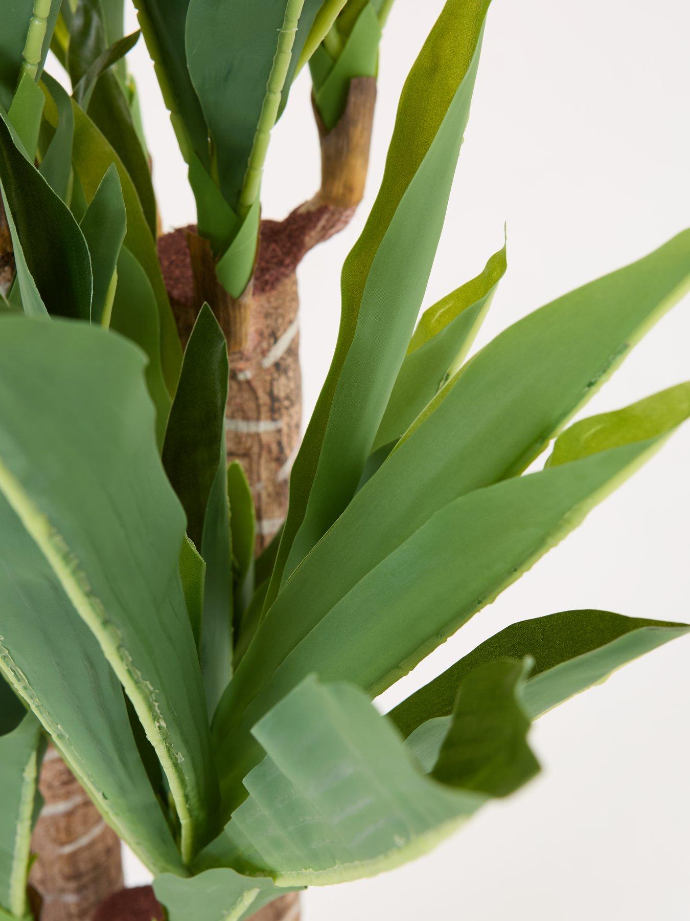 Image 3 of 7 of Very Home &nbsp;Faux Triple Stem Yucca Plant in Plastic Pot
