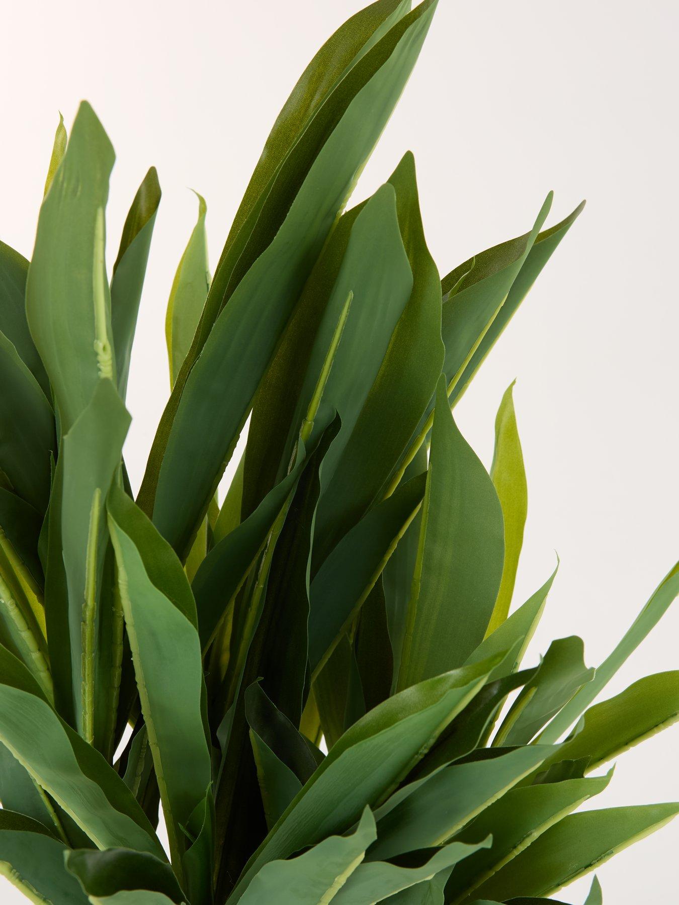 Image 6 of 7 of Very Home &nbsp;Faux Triple Stem Yucca Plant in Plastic Pot