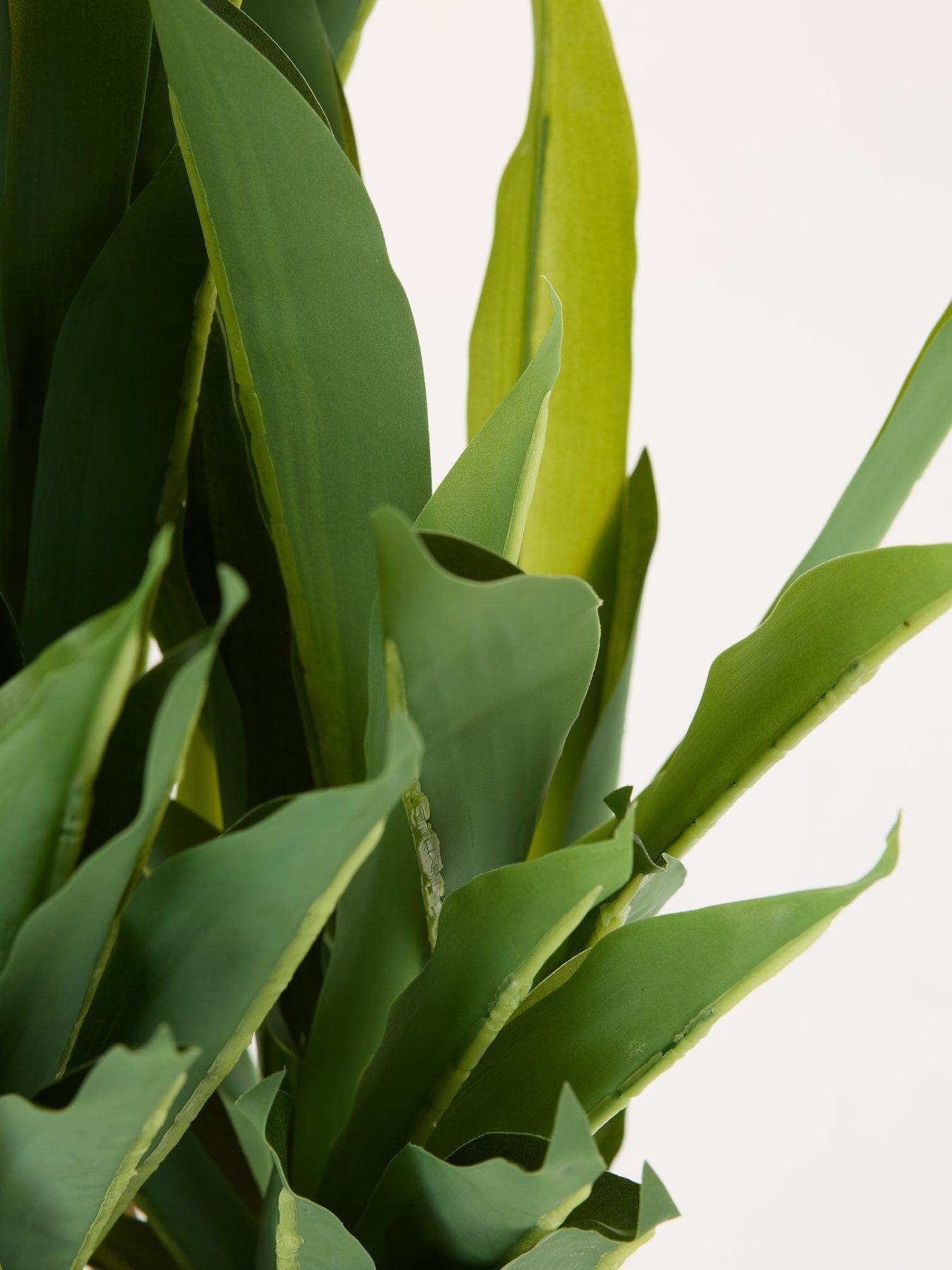 Image 7 of 7 of Very Home &nbsp;Faux Triple Stem Yucca Plant in Plastic Pot