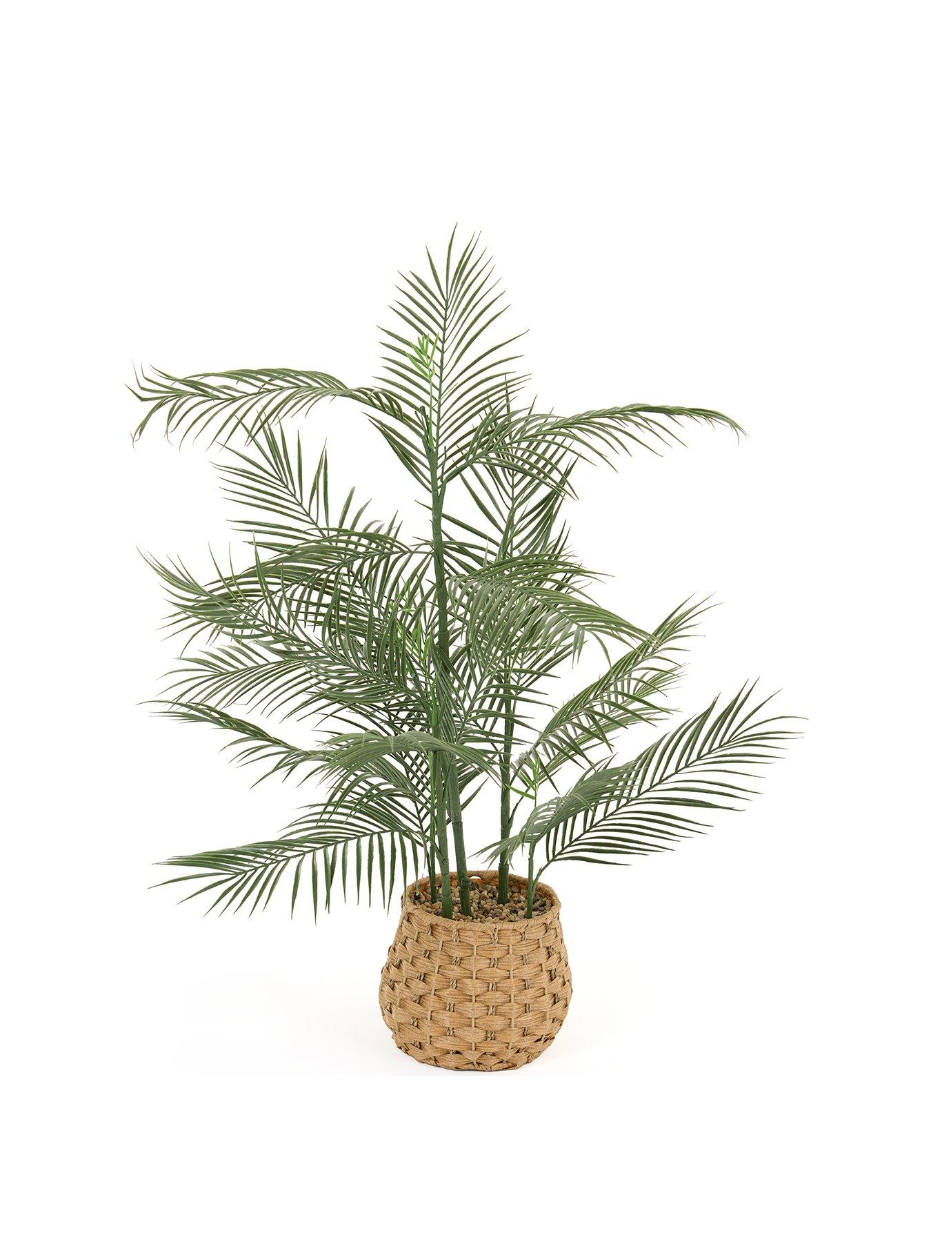 Image 2 of 6 of The Very Collection Faux Palm Plant in Woven Basket