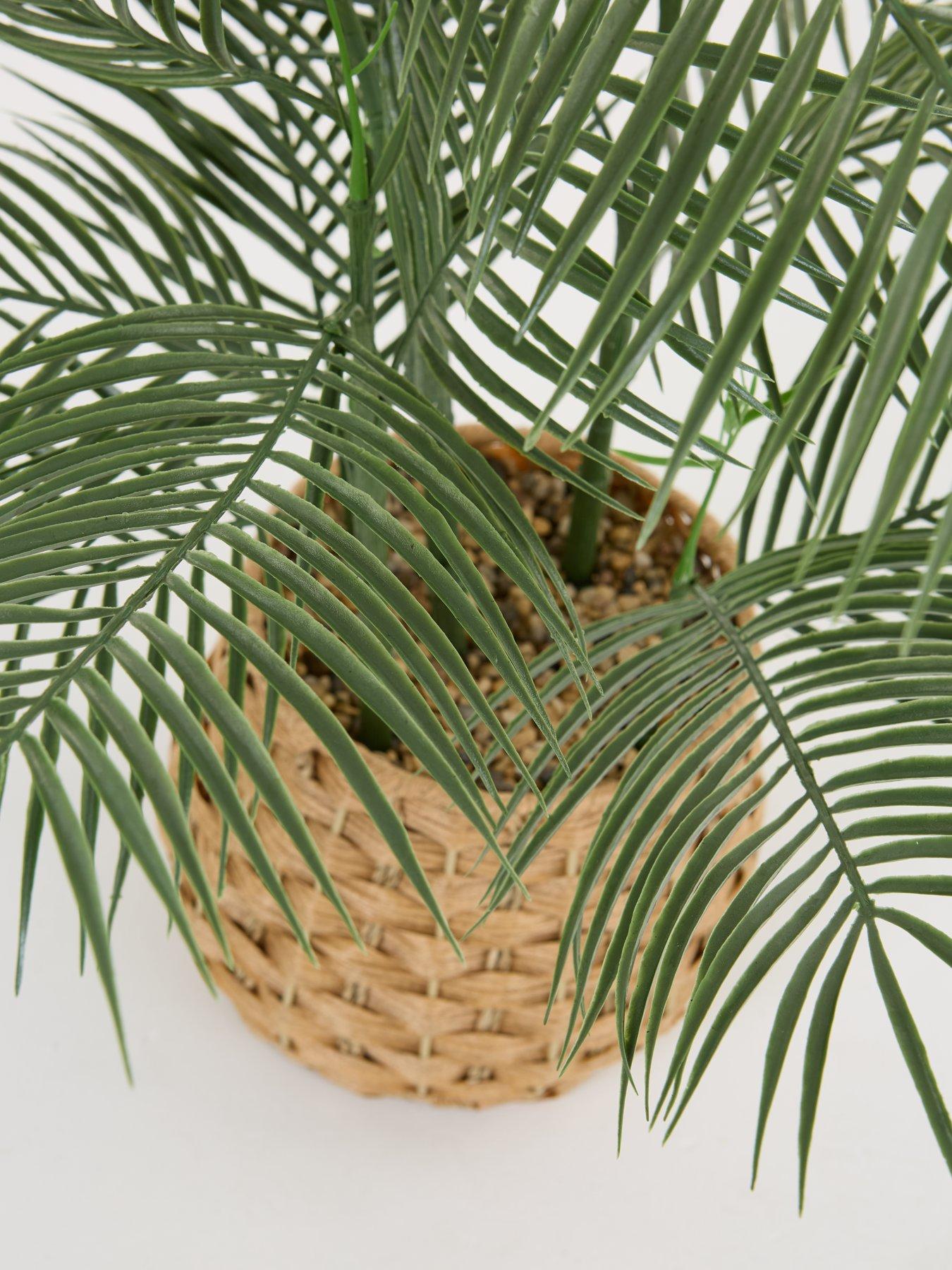 Image 3 of 6 of The Very Collection Faux Palm Plant in Woven Basket