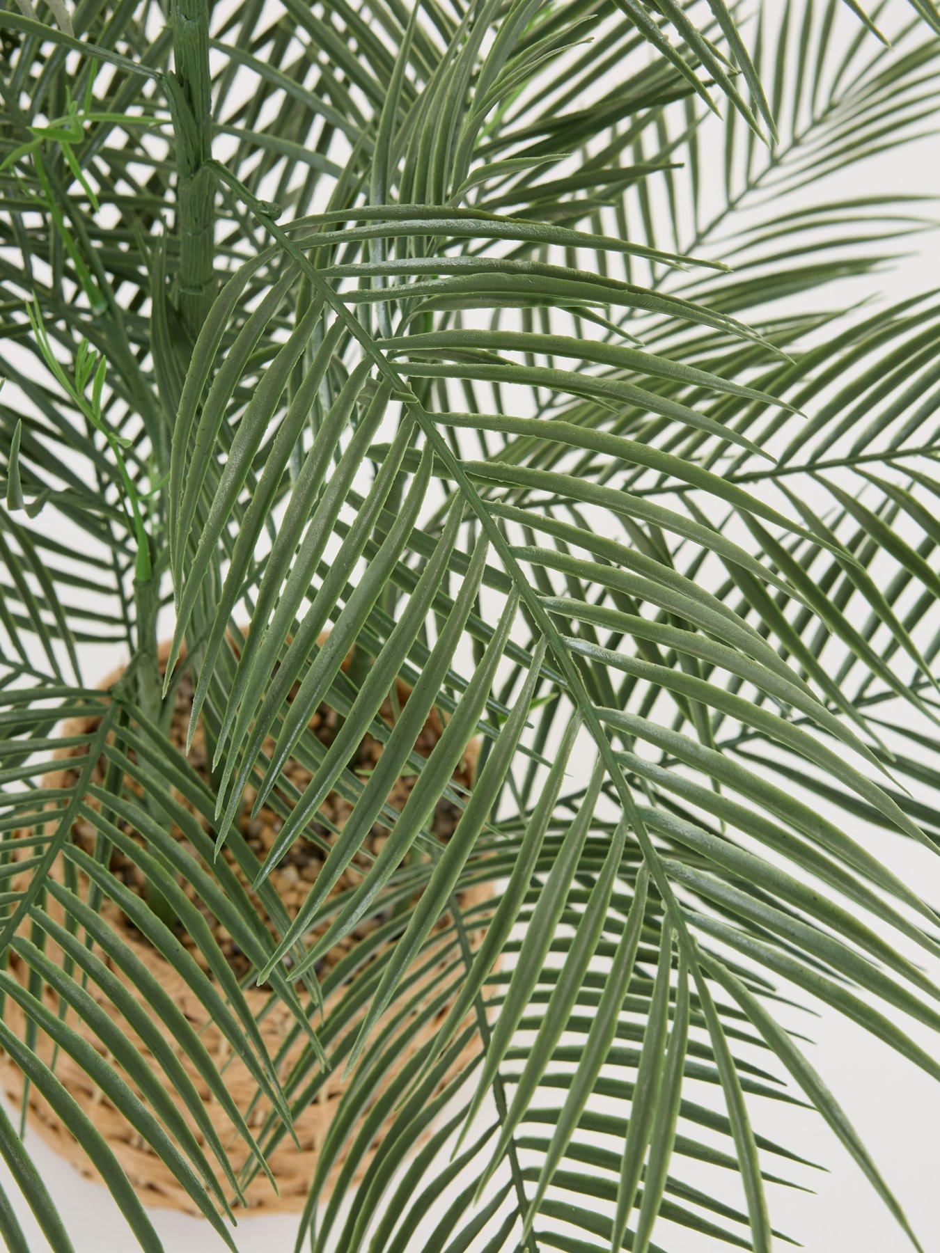 Image 6 of 6 of The Very Collection Faux Palm Plant in Woven Basket