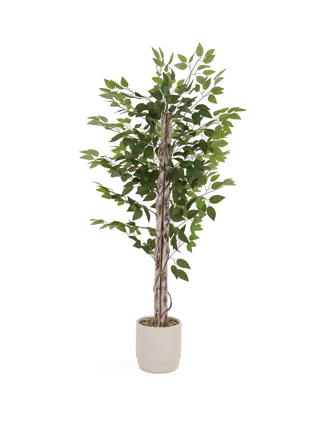 Image 2 of 7 of The Very Collection Faux Ficus Tree in Cement Pot
