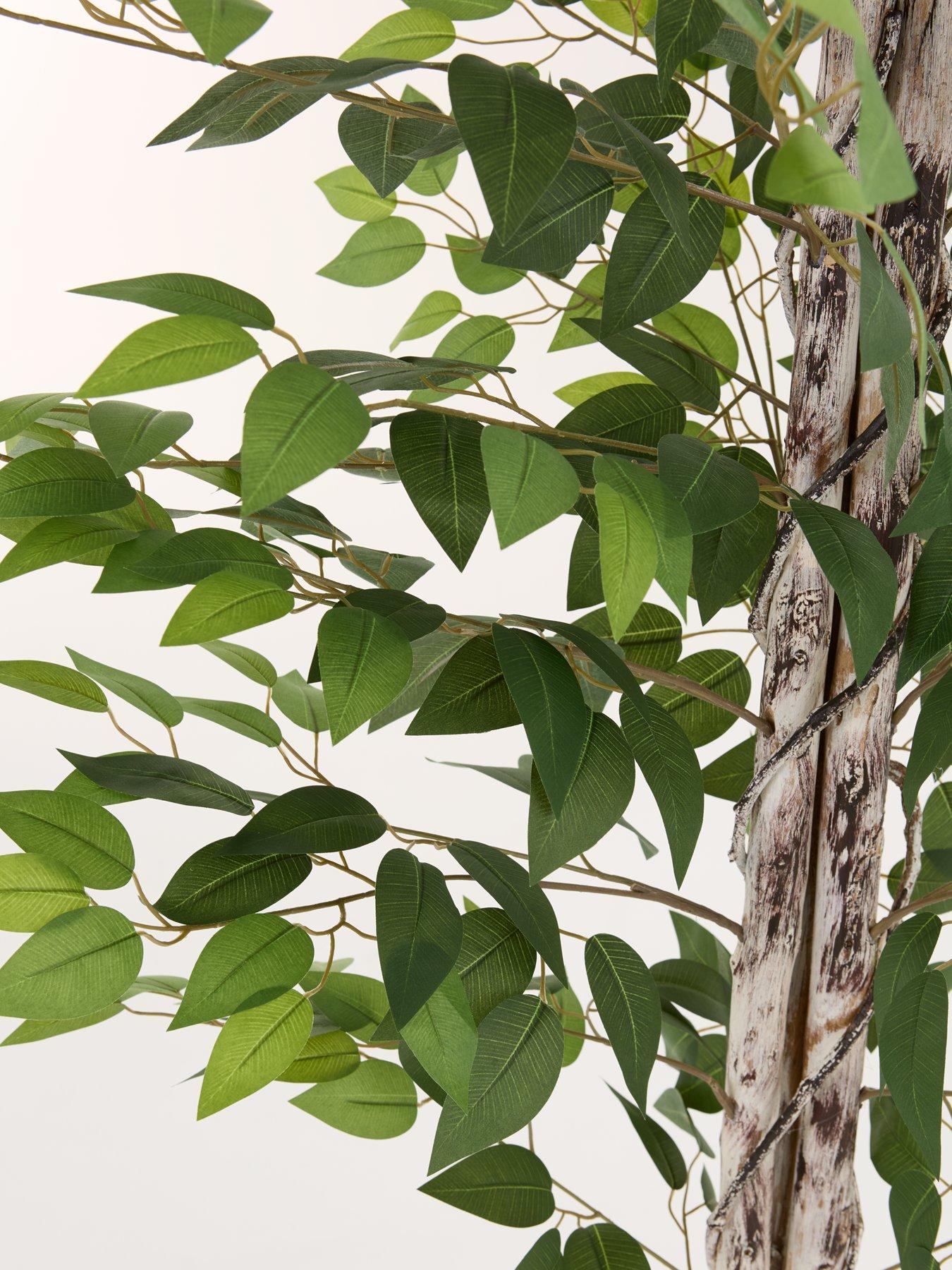 Image 3 of 7 of The Very Collection Faux Ficus Tree in Cement Pot