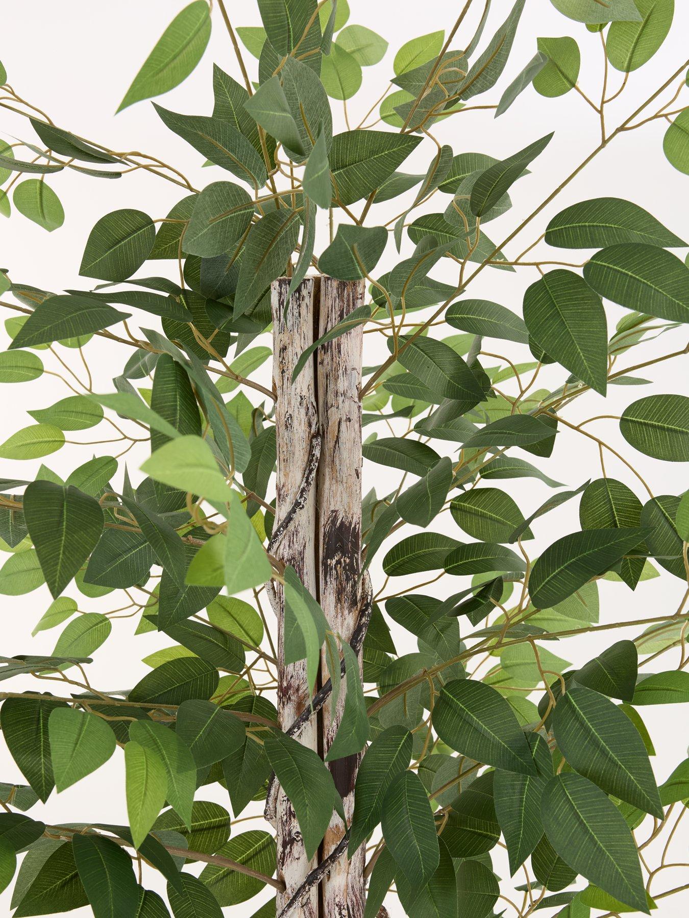 Image 4 of 7 of The Very Collection Faux Ficus Tree in Cement Pot