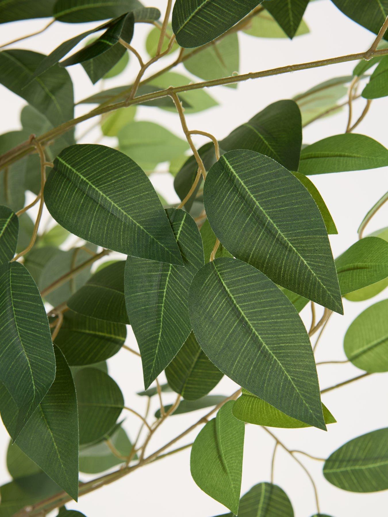 Image 5 of 7 of The Very Collection Faux Ficus Tree in Cement Pot