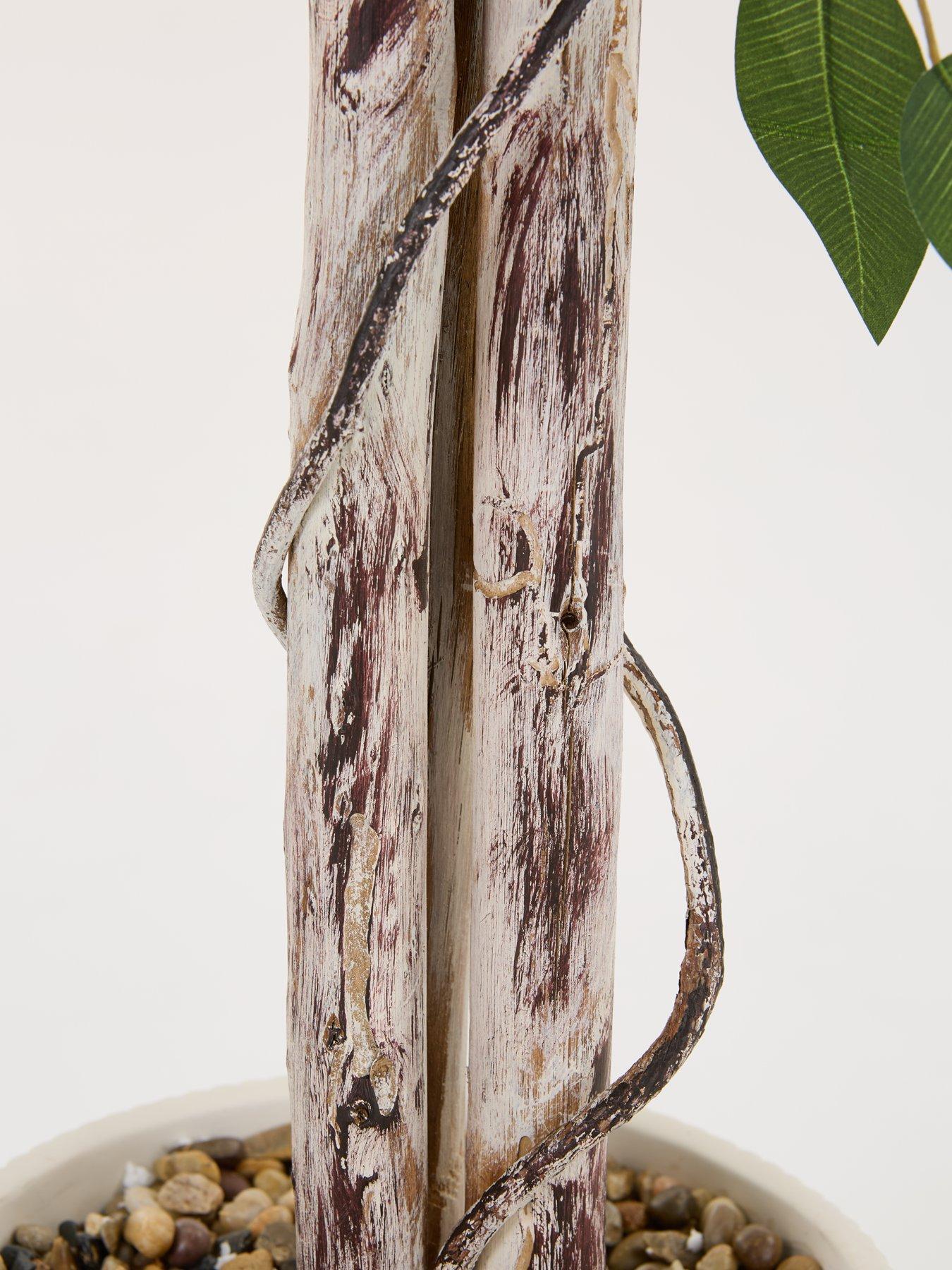 Image 6 of 7 of The Very Collection Faux Ficus Tree in Cement Pot