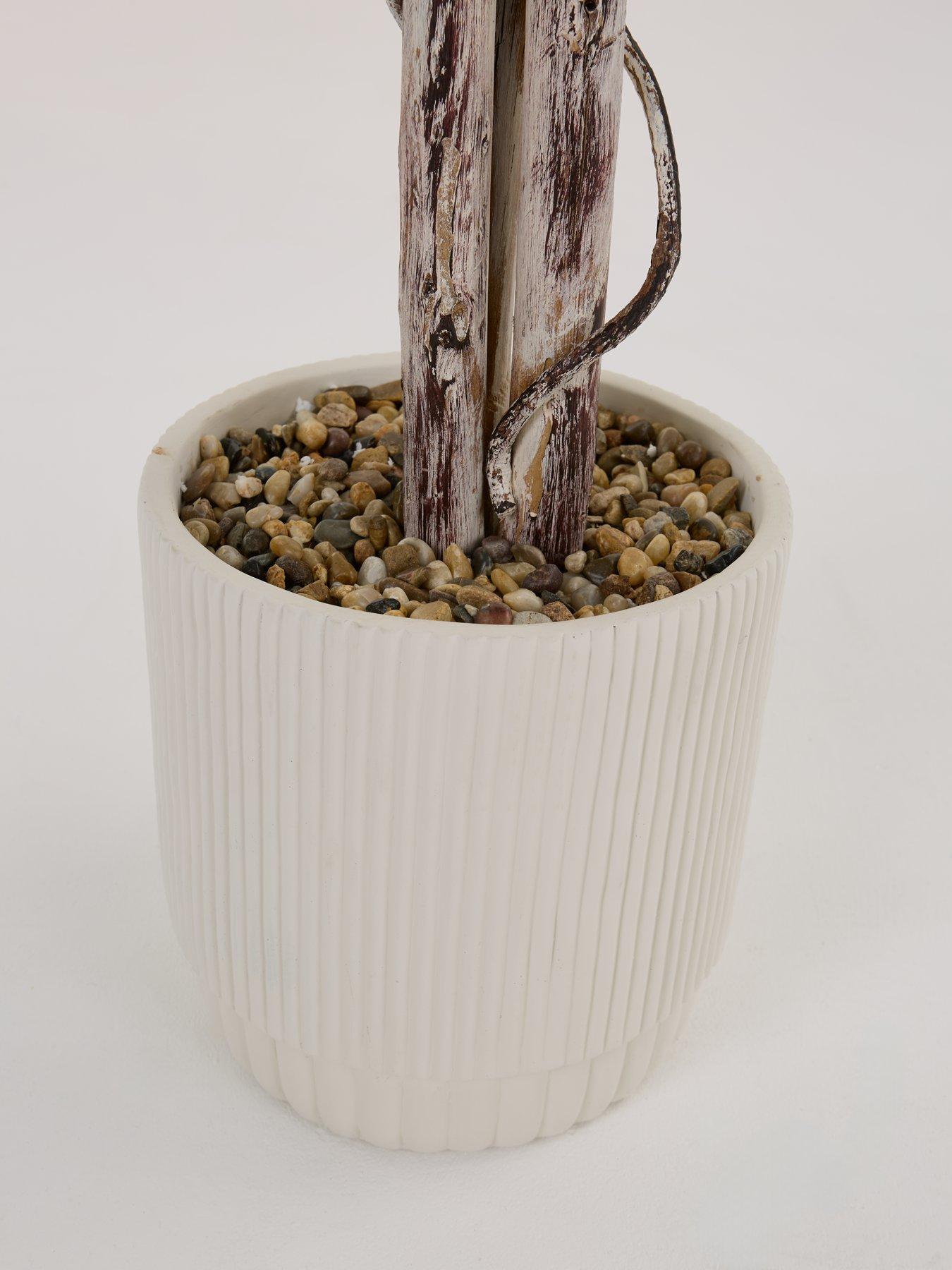 Image 7 of 7 of The Very Collection Faux Ficus Tree in Cement Pot