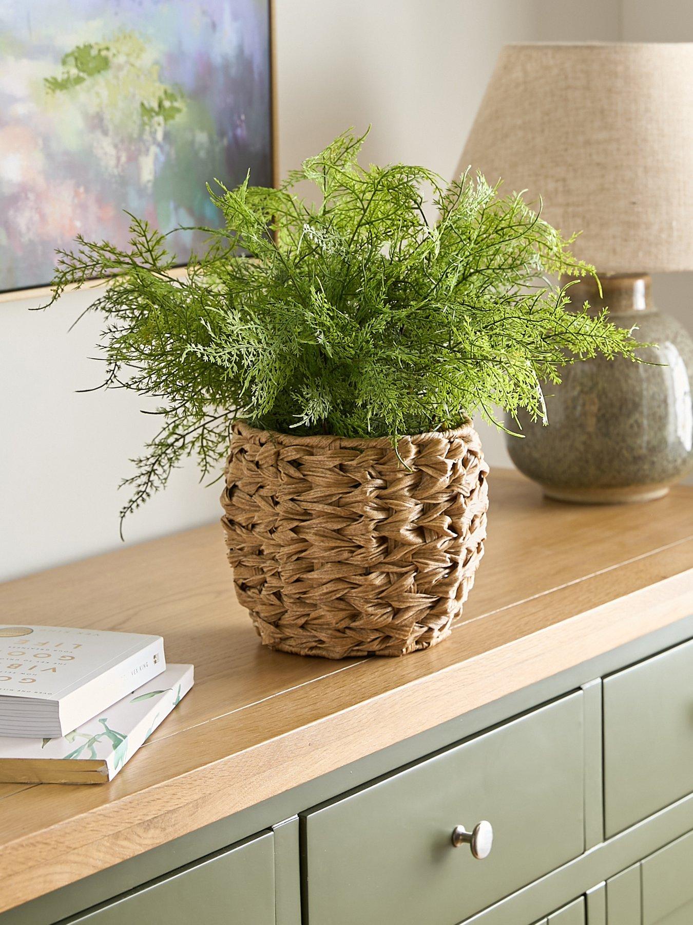 undefined Artificial Fern in Woven Basket