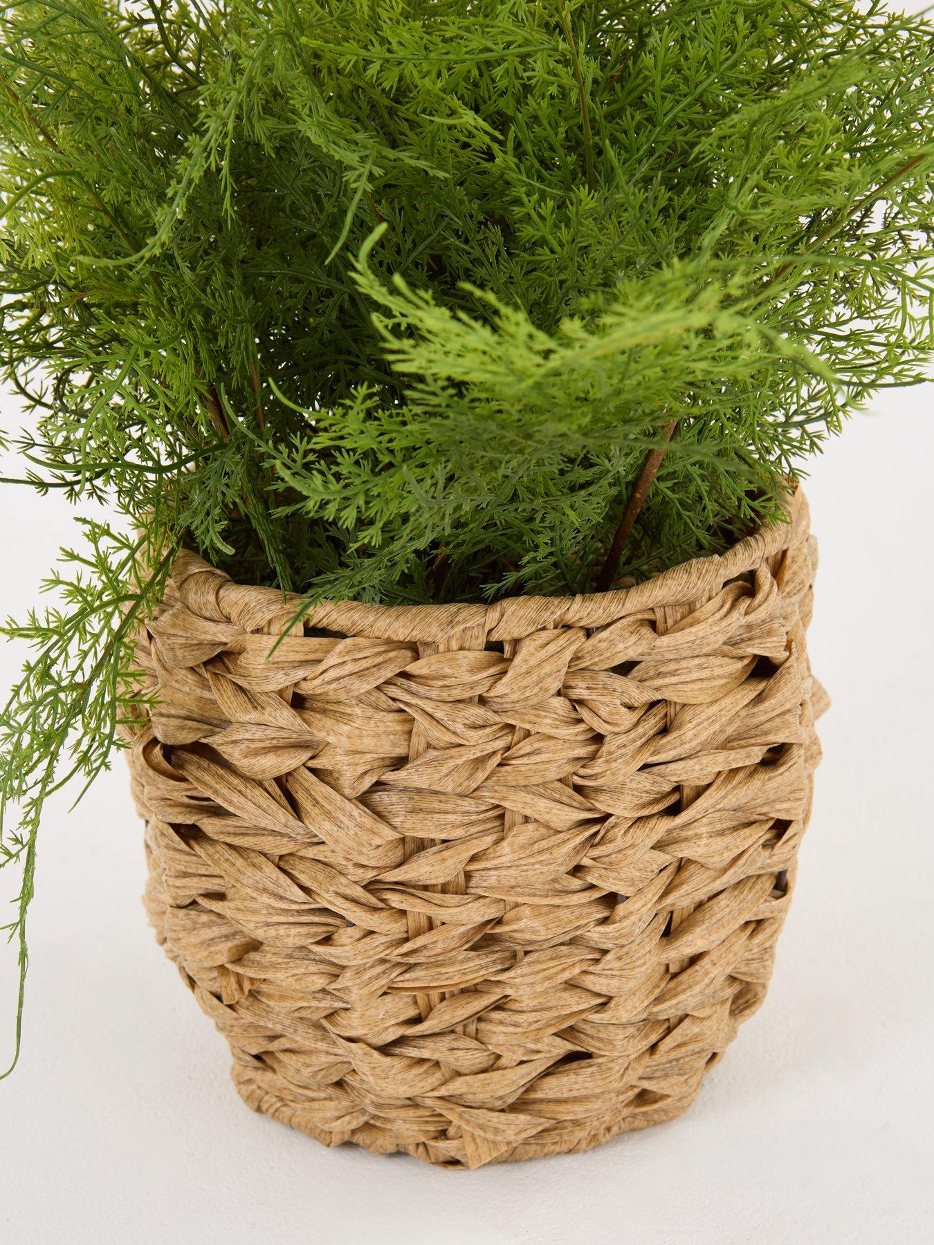 Image 4 of 7 of Very Home Artificial Fern in Woven Basket