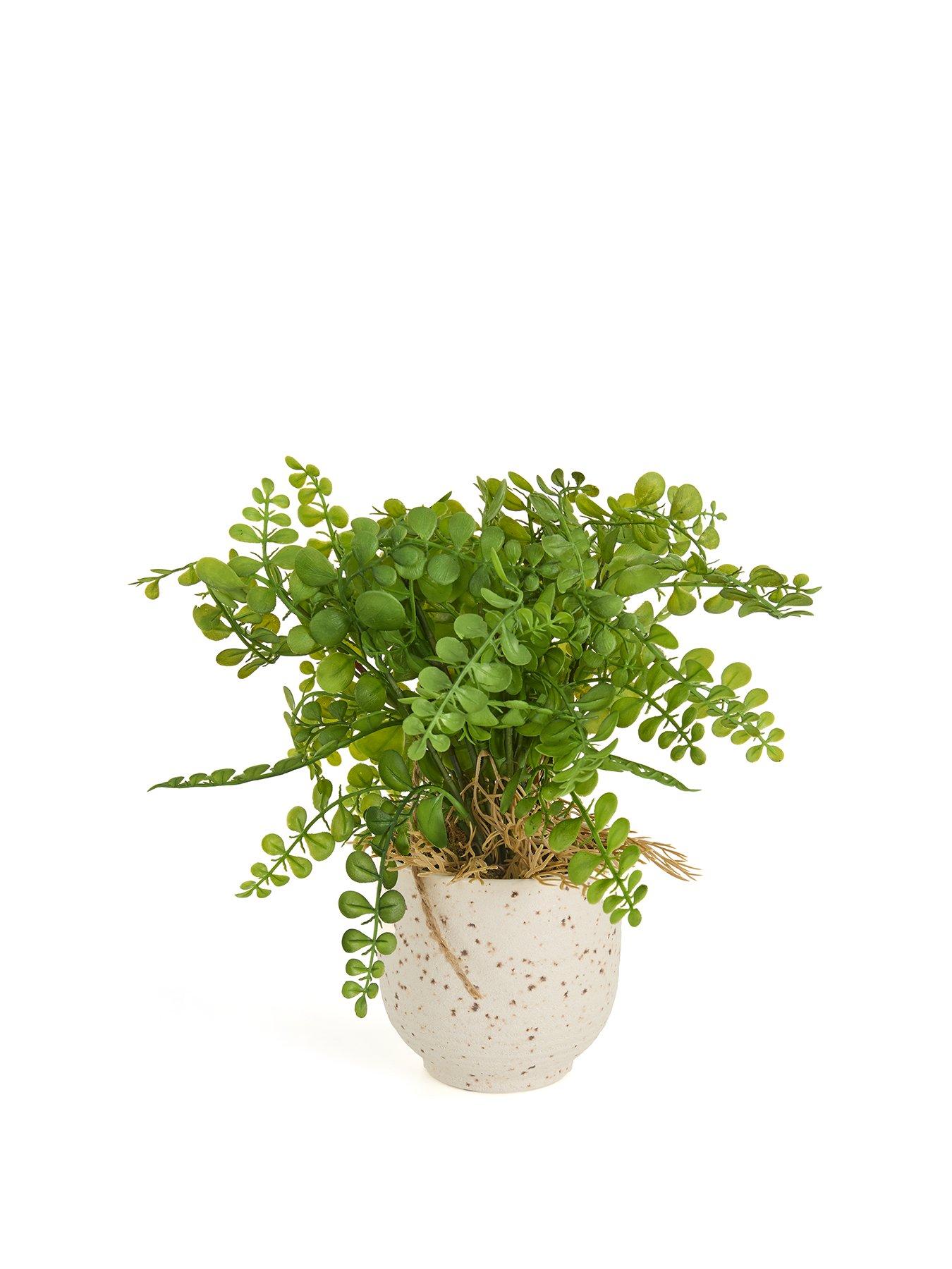 Image 2 of 7 of The Very Collection Artificial Fern in Speckled Ceramic Pot