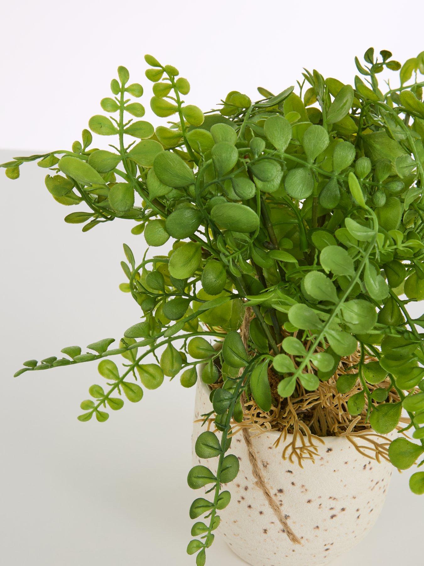 Image 3 of 7 of The Very Collection Artificial Fern in Speckled Ceramic Pot