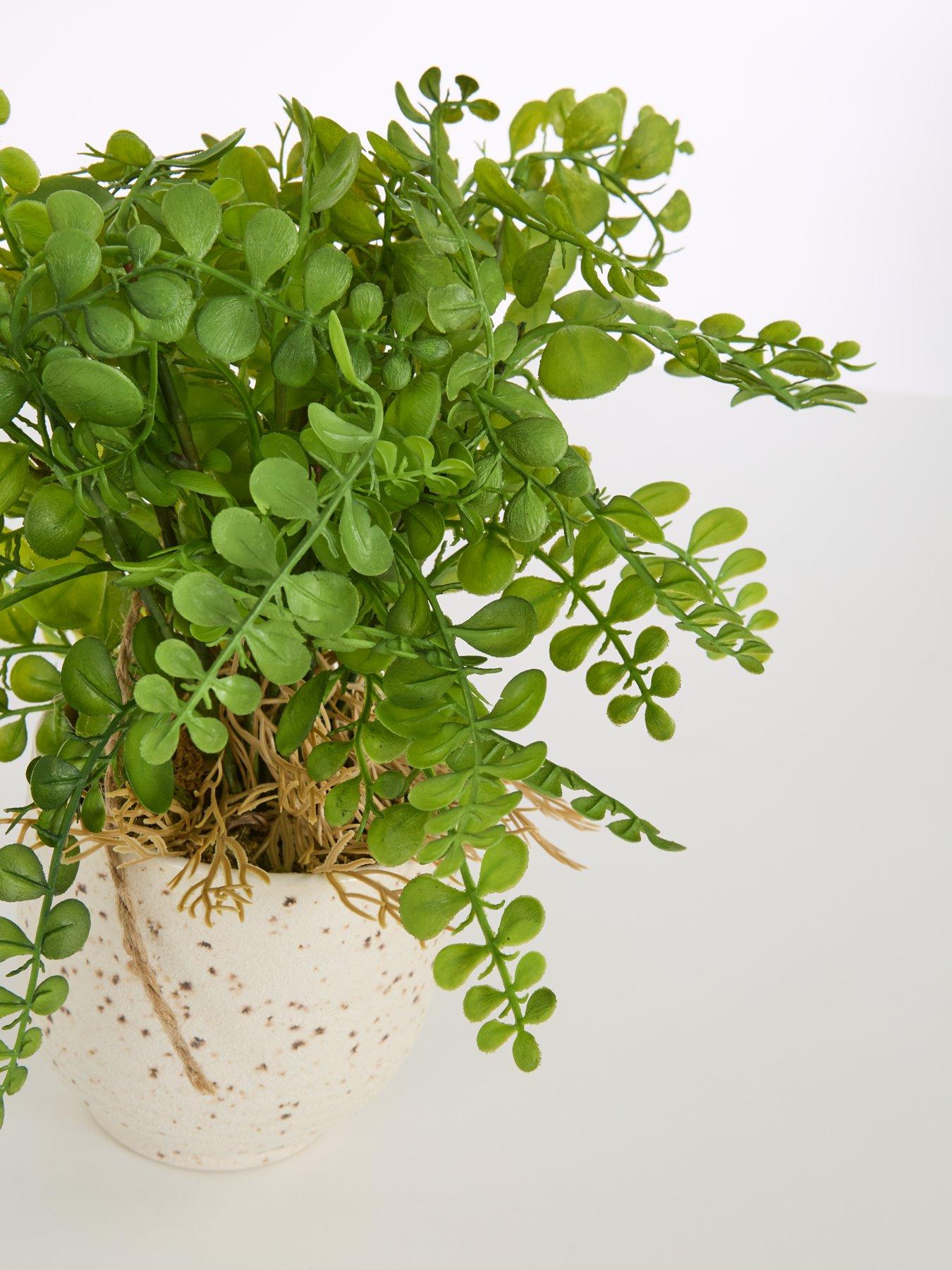 Image 4 of 7 of The Very Collection Artificial Fern in Speckled Ceramic Pot