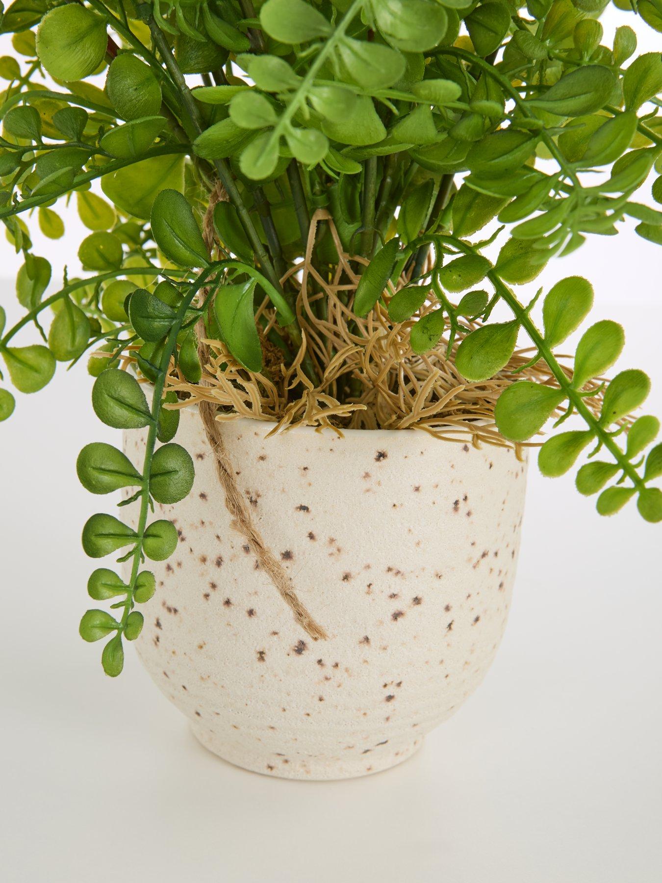 Image 5 of 7 of The Very Collection Artificial Fern in Speckled Ceramic Pot